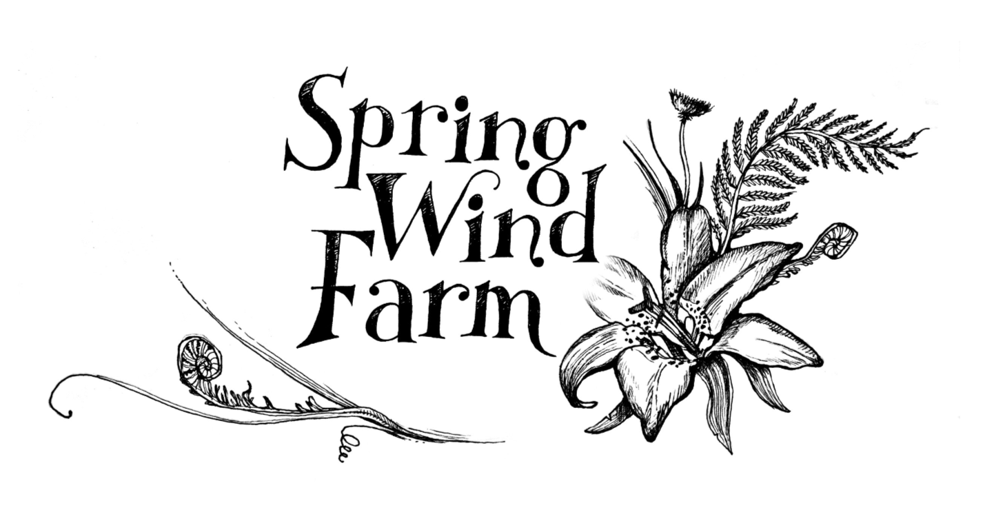 Spring Wind Farm
