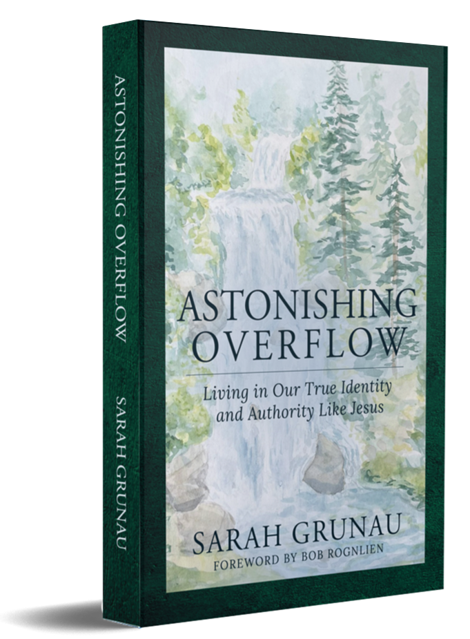 AO Mock Cover crop.png