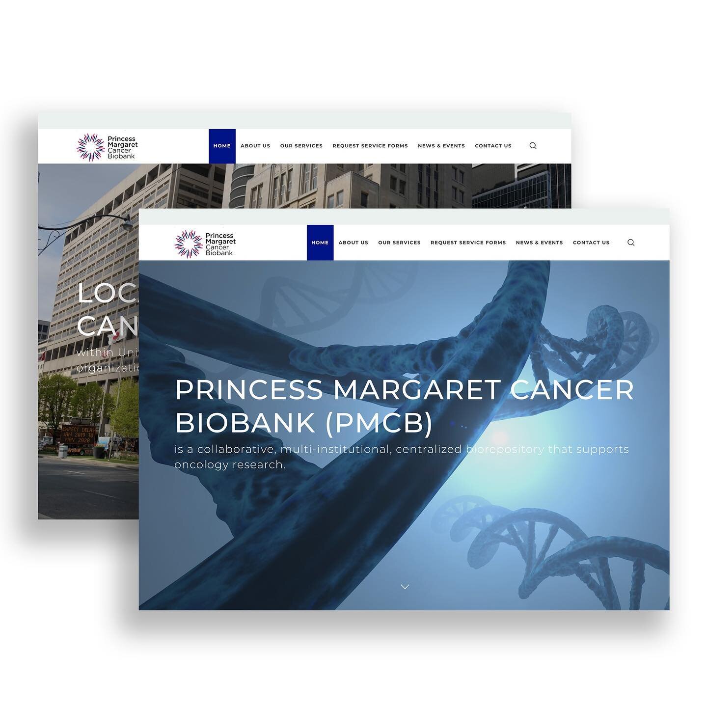 Collaboration was key in designing The New Princess Margaret Cancer Biobank Brand Identity.

#Design #Adobe #Illustrator #Indesign #Creative #Cancer #Biobank #Business #Branding #Graphicdesign #BrandIdentity #RGD #Canada #Partnership #Webdesign #Heal