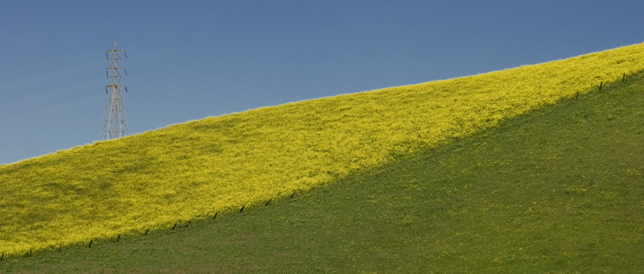 920080316-_DSC0005west.jpg
