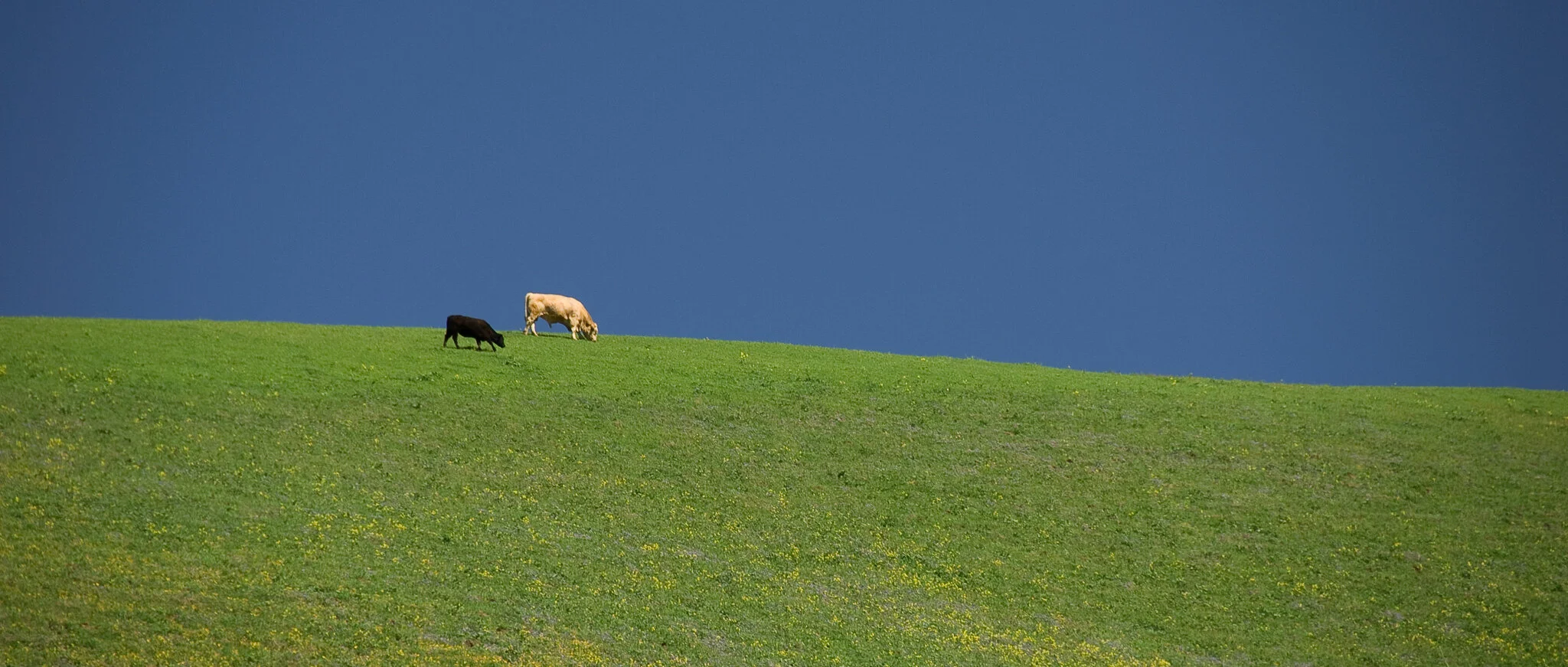 1020080316-_DSC0032west.jpg