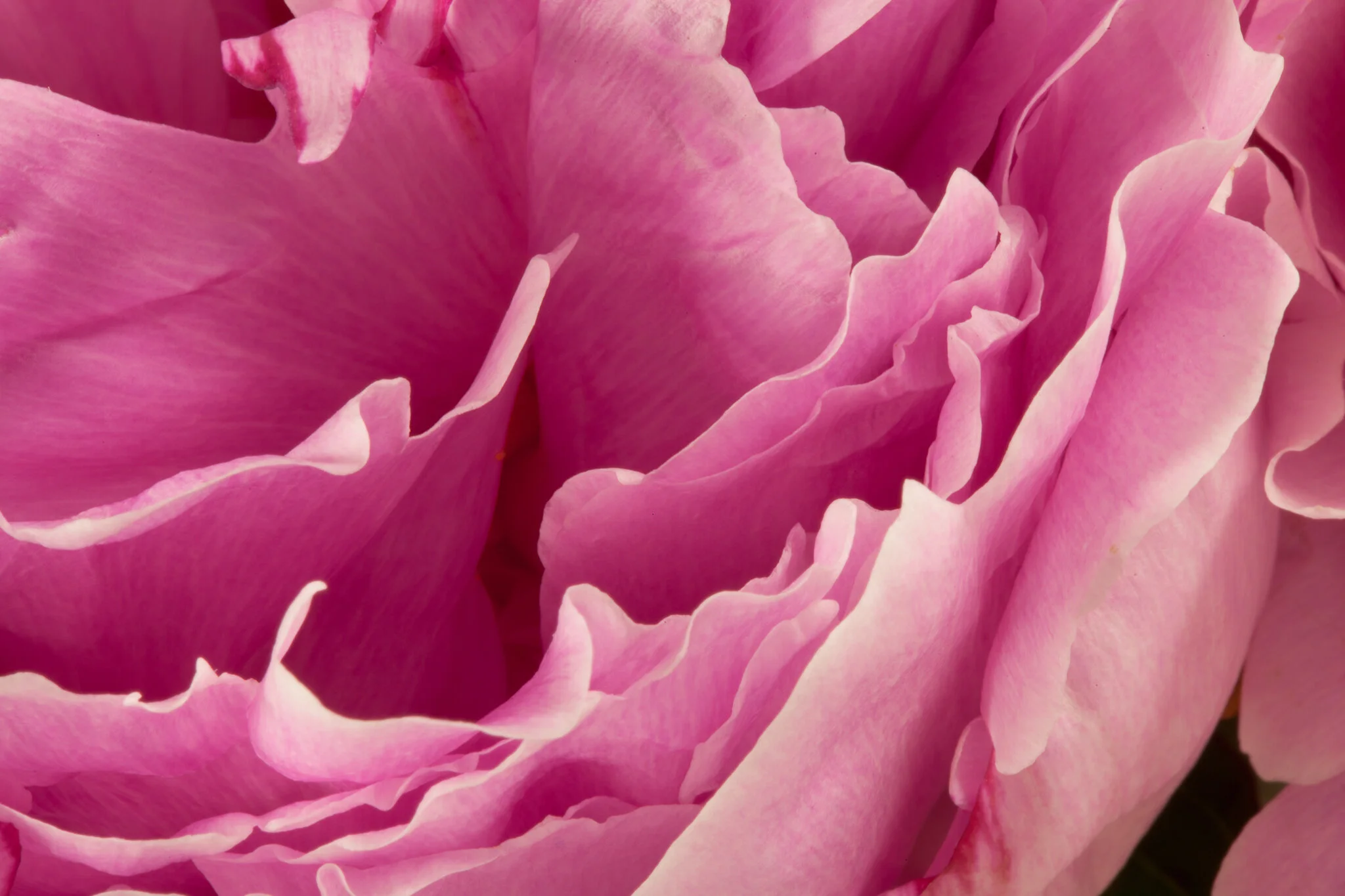 24_MG_9377abstracts.jpg