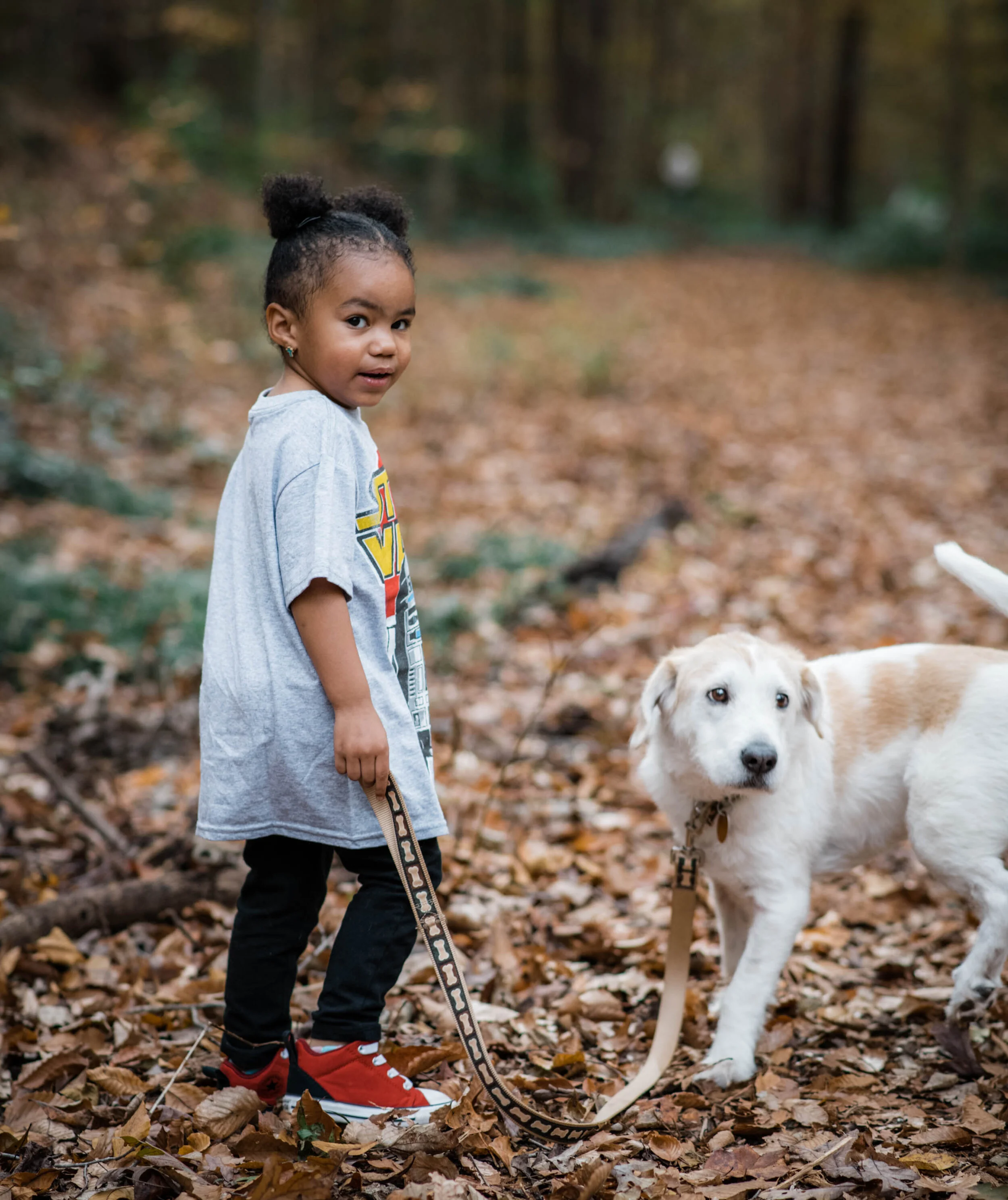 Dillard Fall 2019-0023.jpg