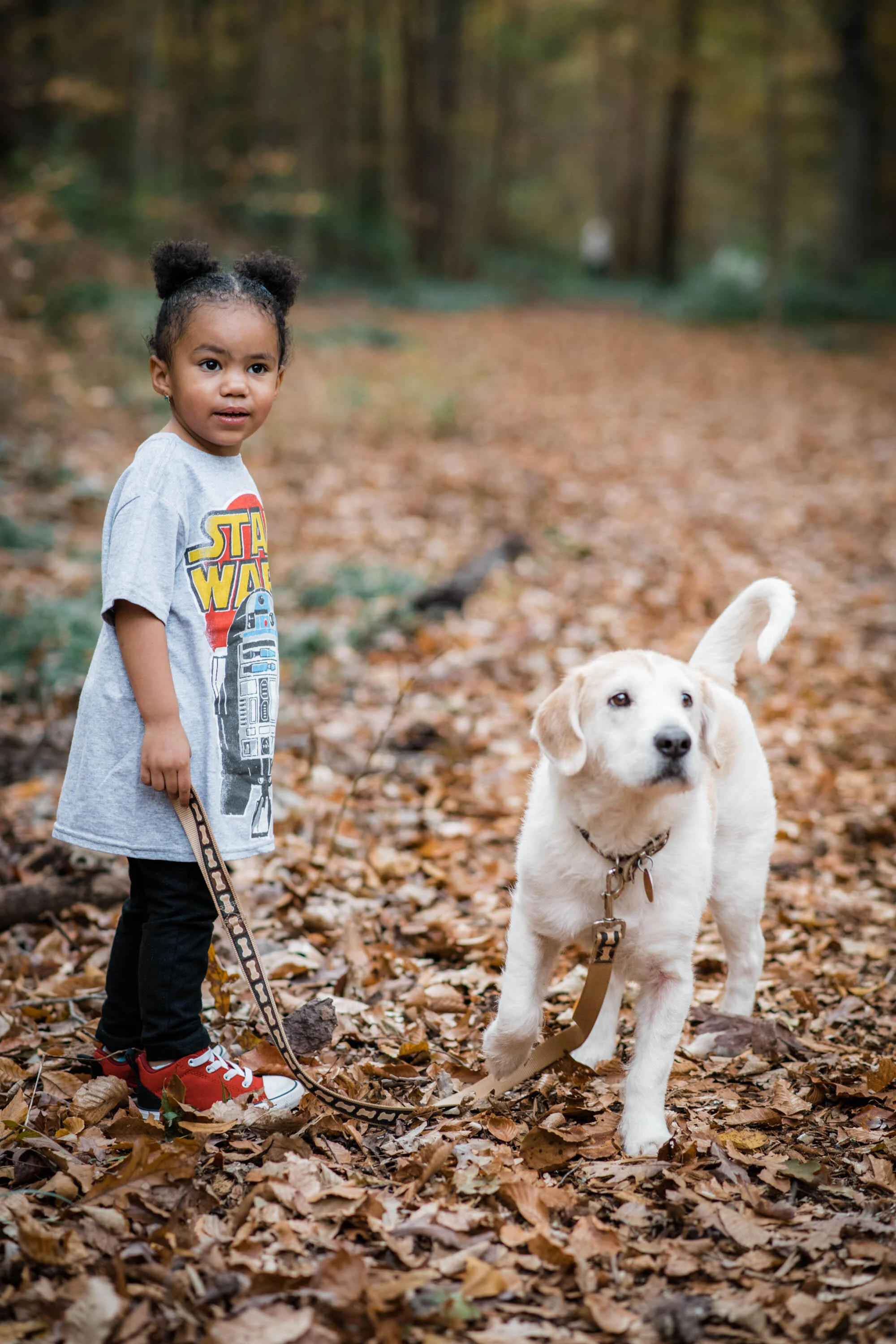 Dillard Fall 2019-0024.jpg