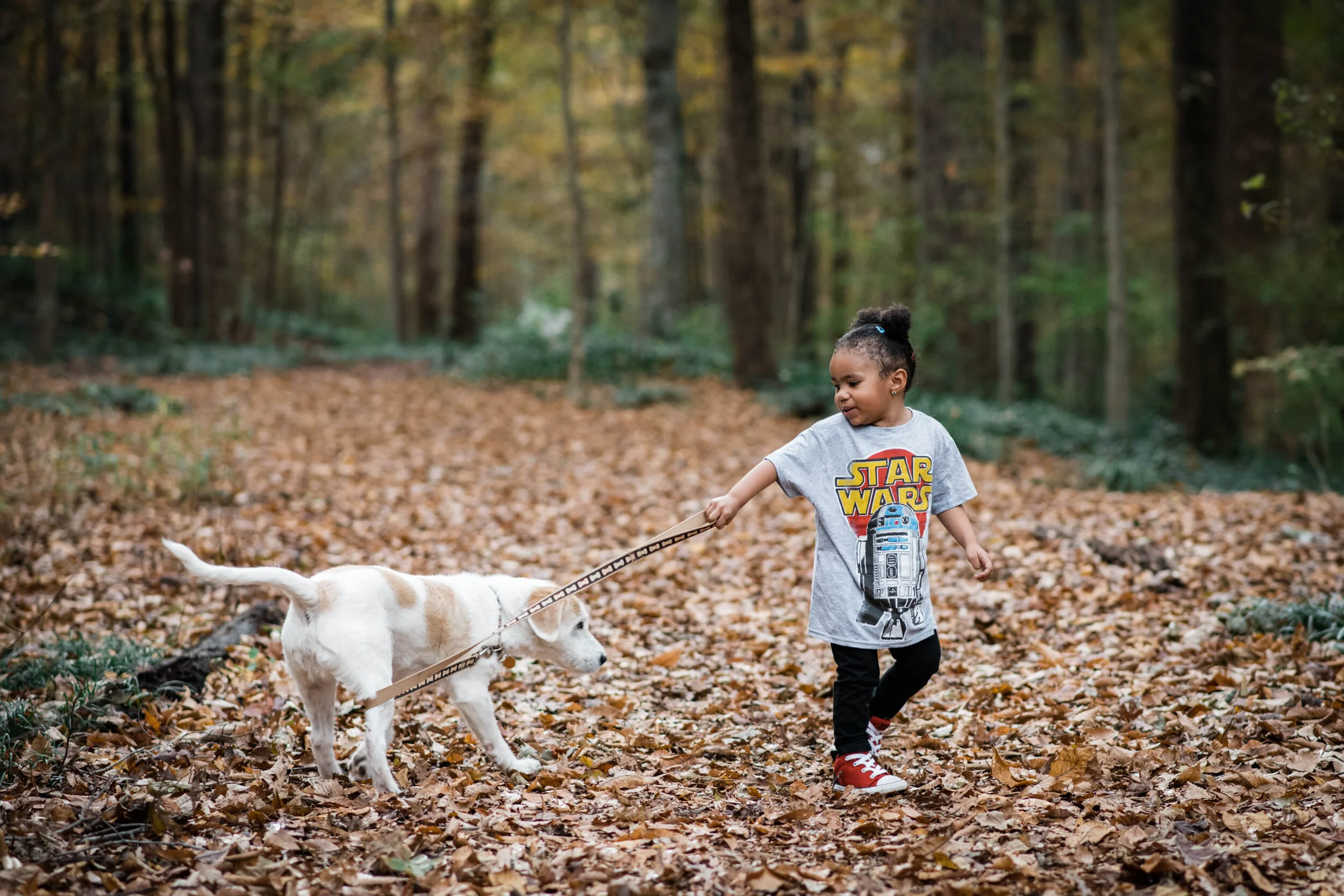 Dillard Fall 2019-0025.jpg