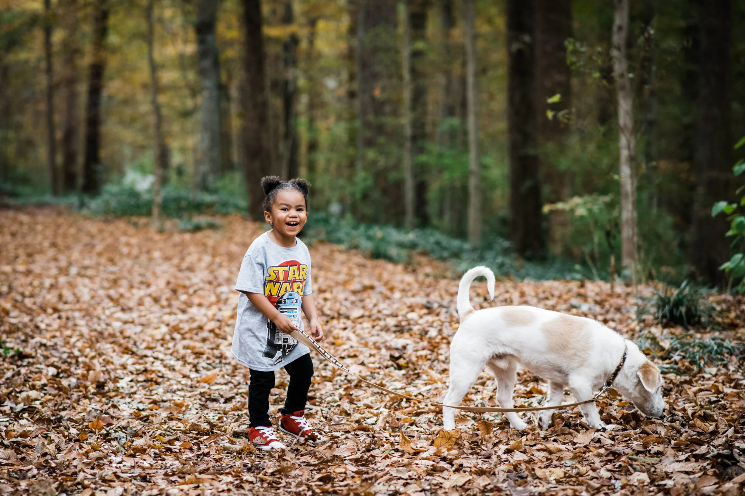 Dillard Fall 2019-0026.jpg