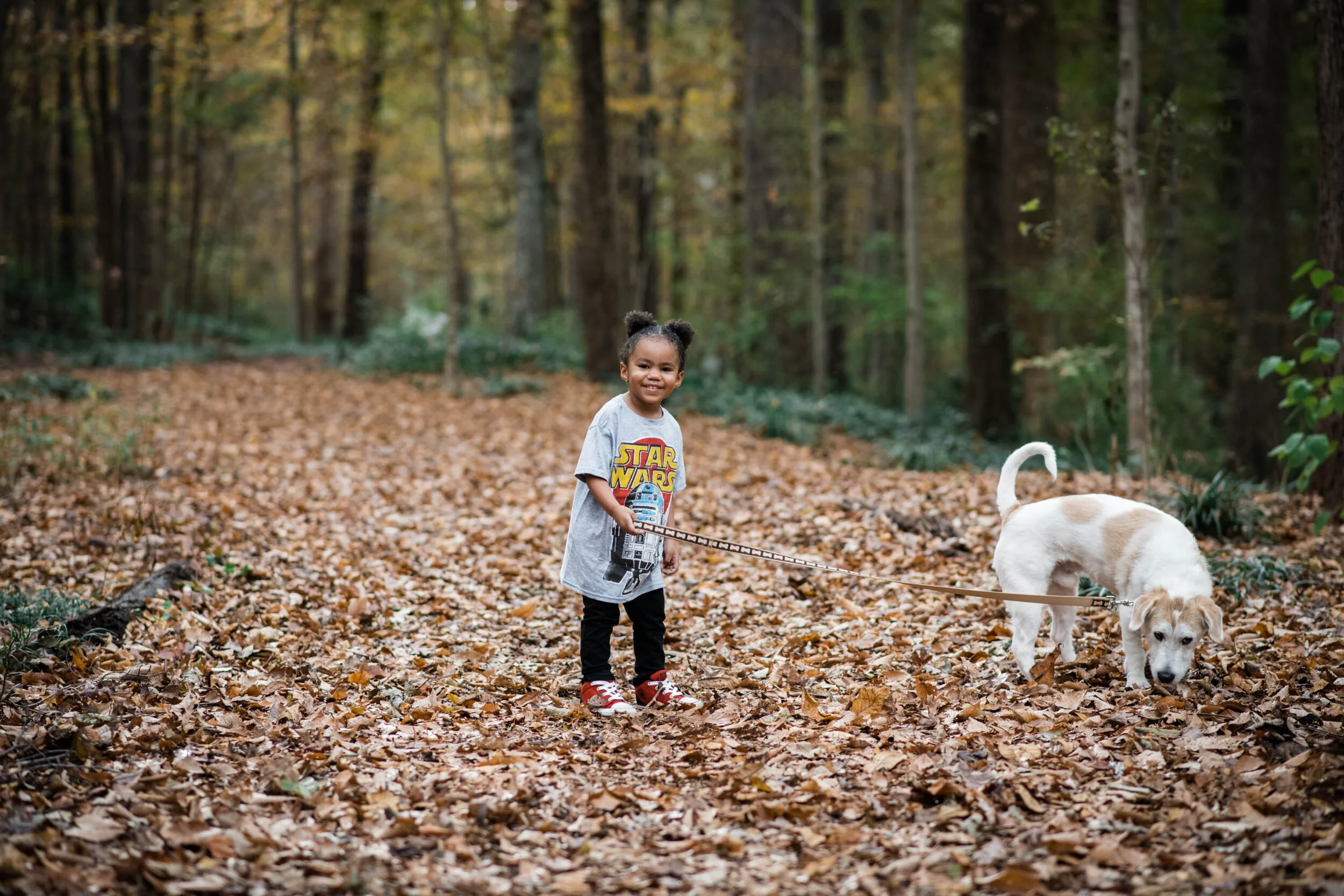Dillard Fall 2019-0027.jpg