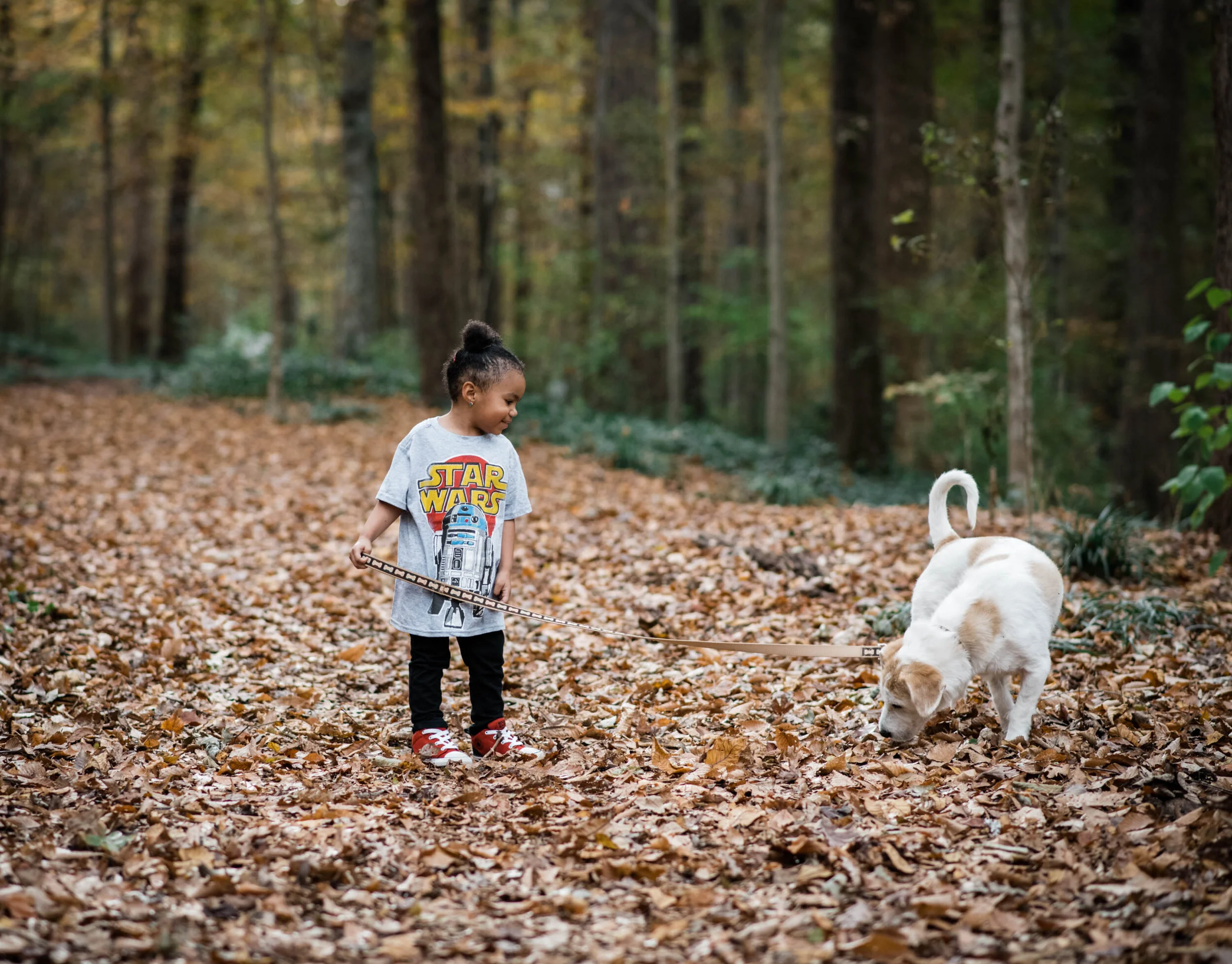 Dillard Fall 2019-0028.jpg