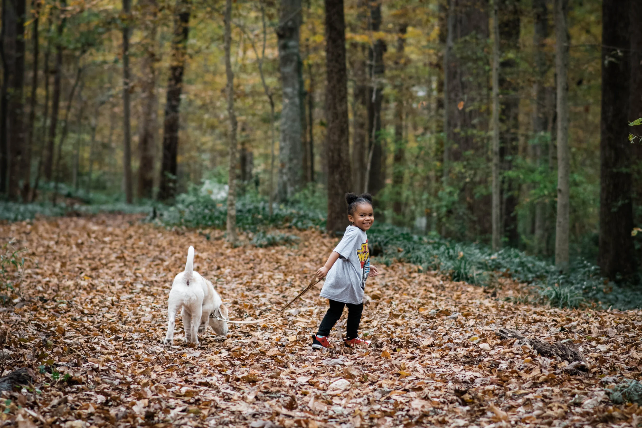 Dillard Fall 2019-0029.jpg