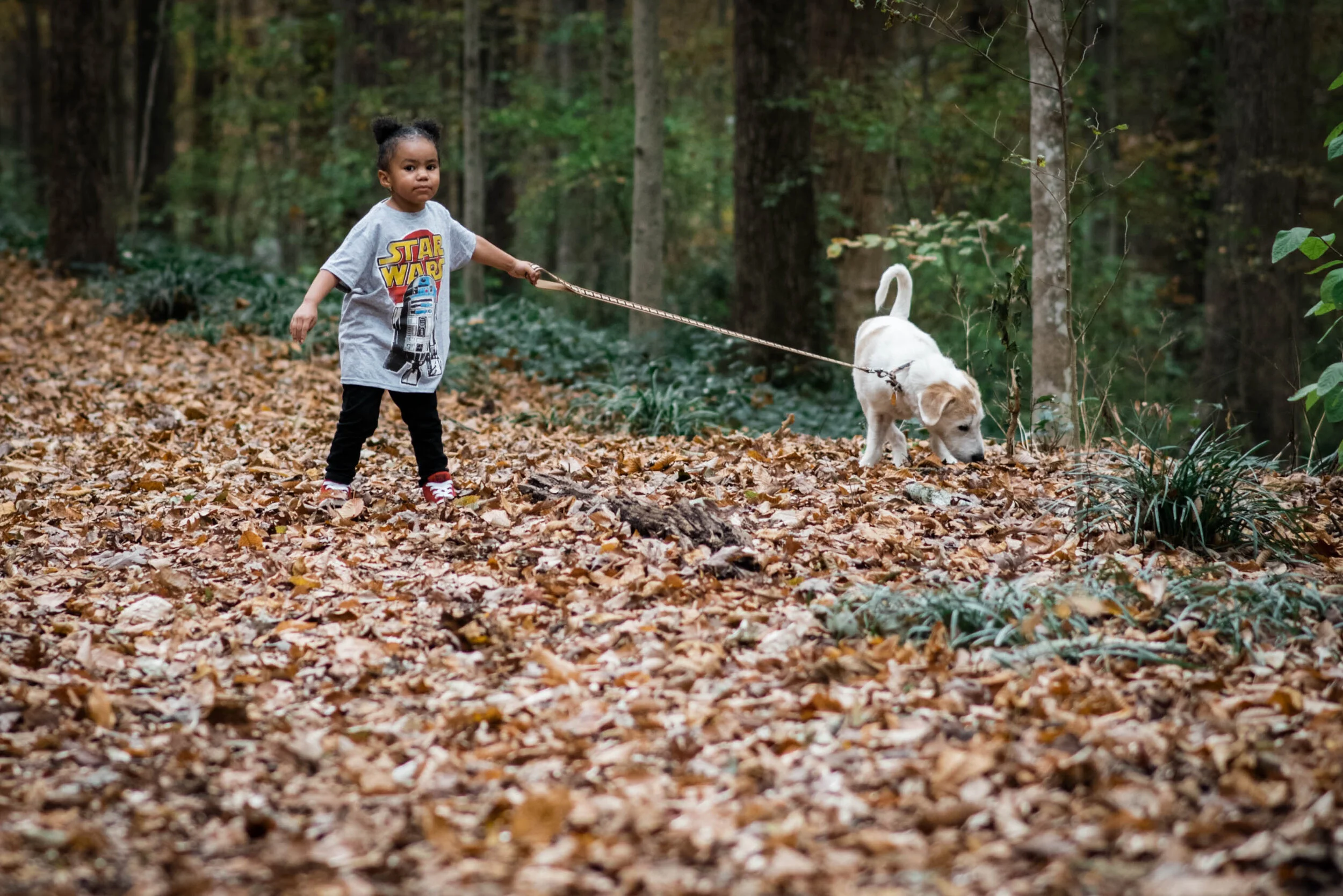 Dillard Fall 2019-0030.jpg