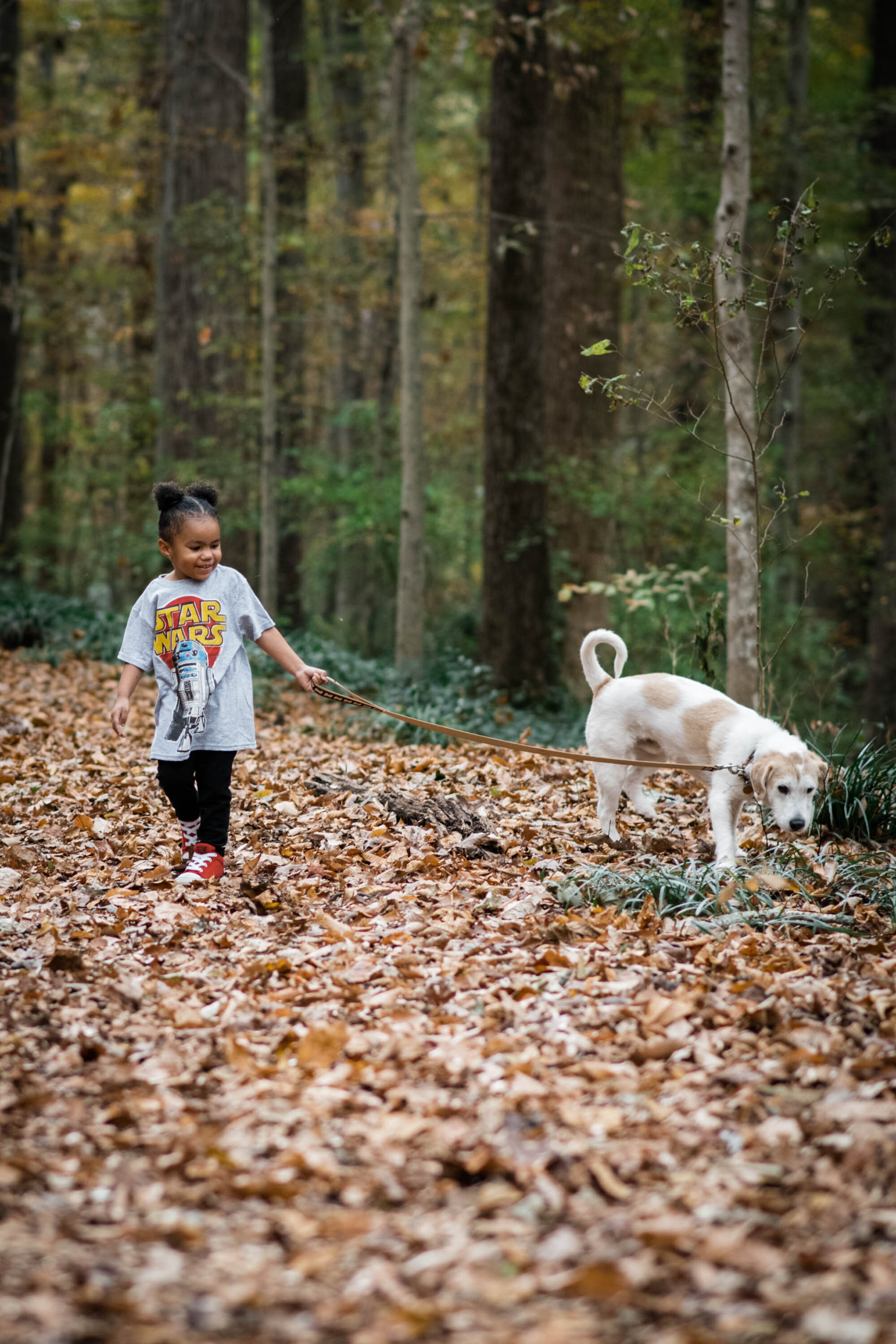 Dillard Fall 2019-0031.jpg