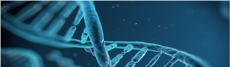 DNA2.png