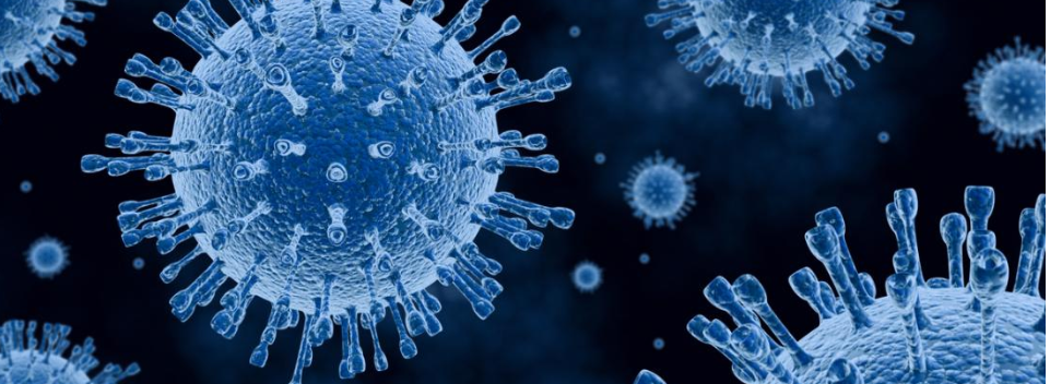 RNA virus.png