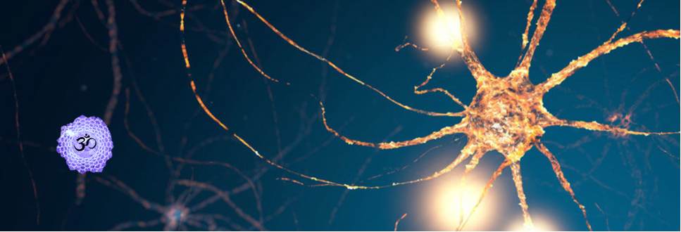 neuron3.png