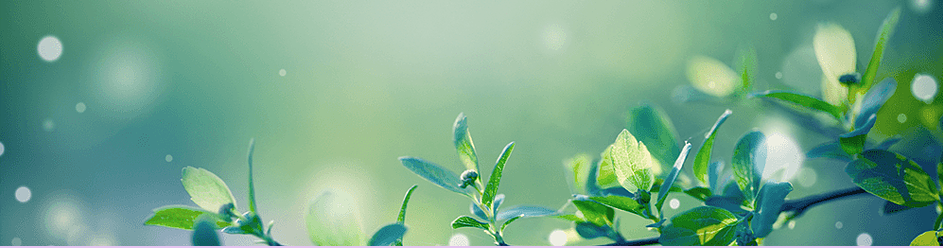 Plants.png