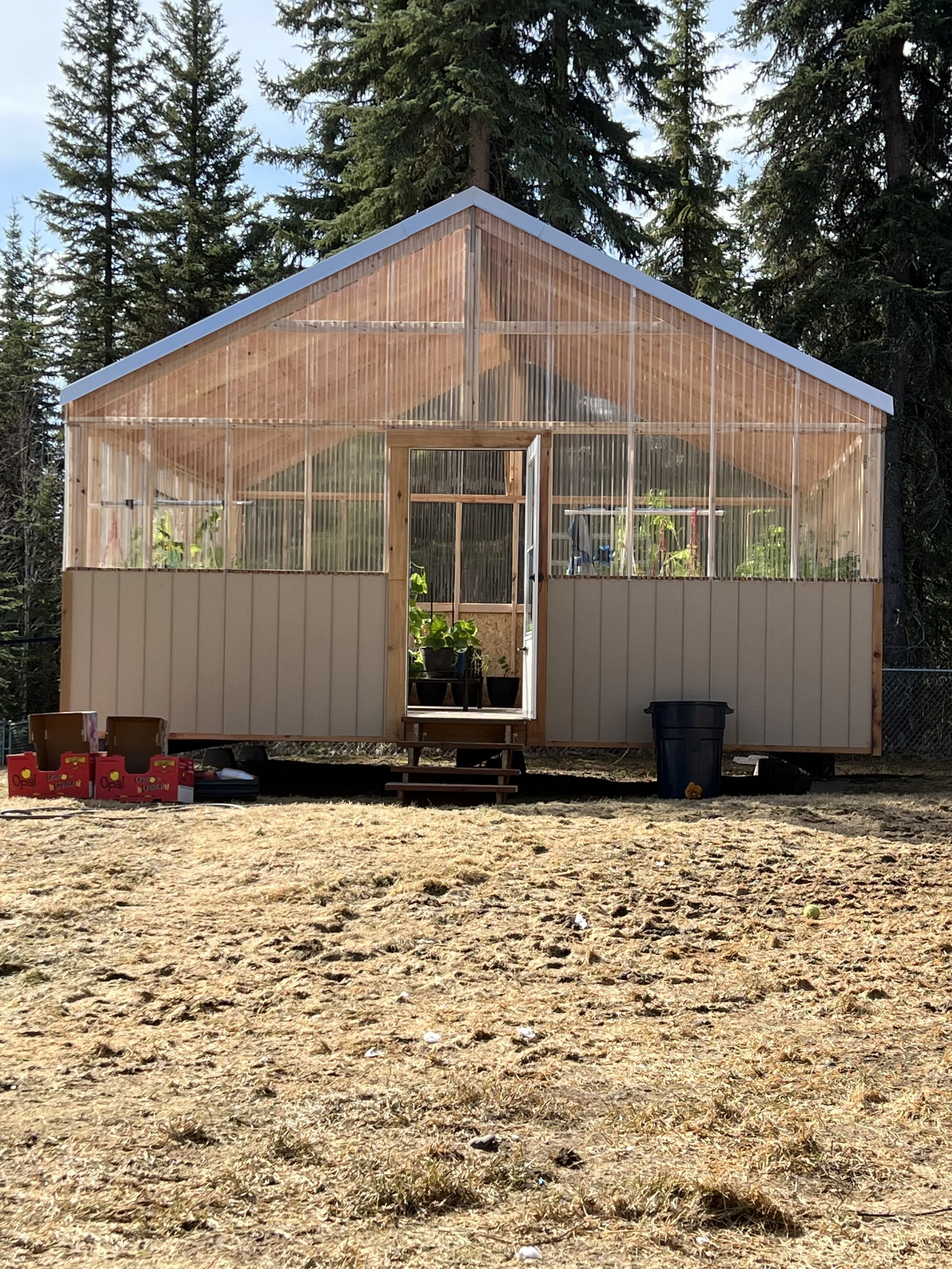 20x20 greenhouse
