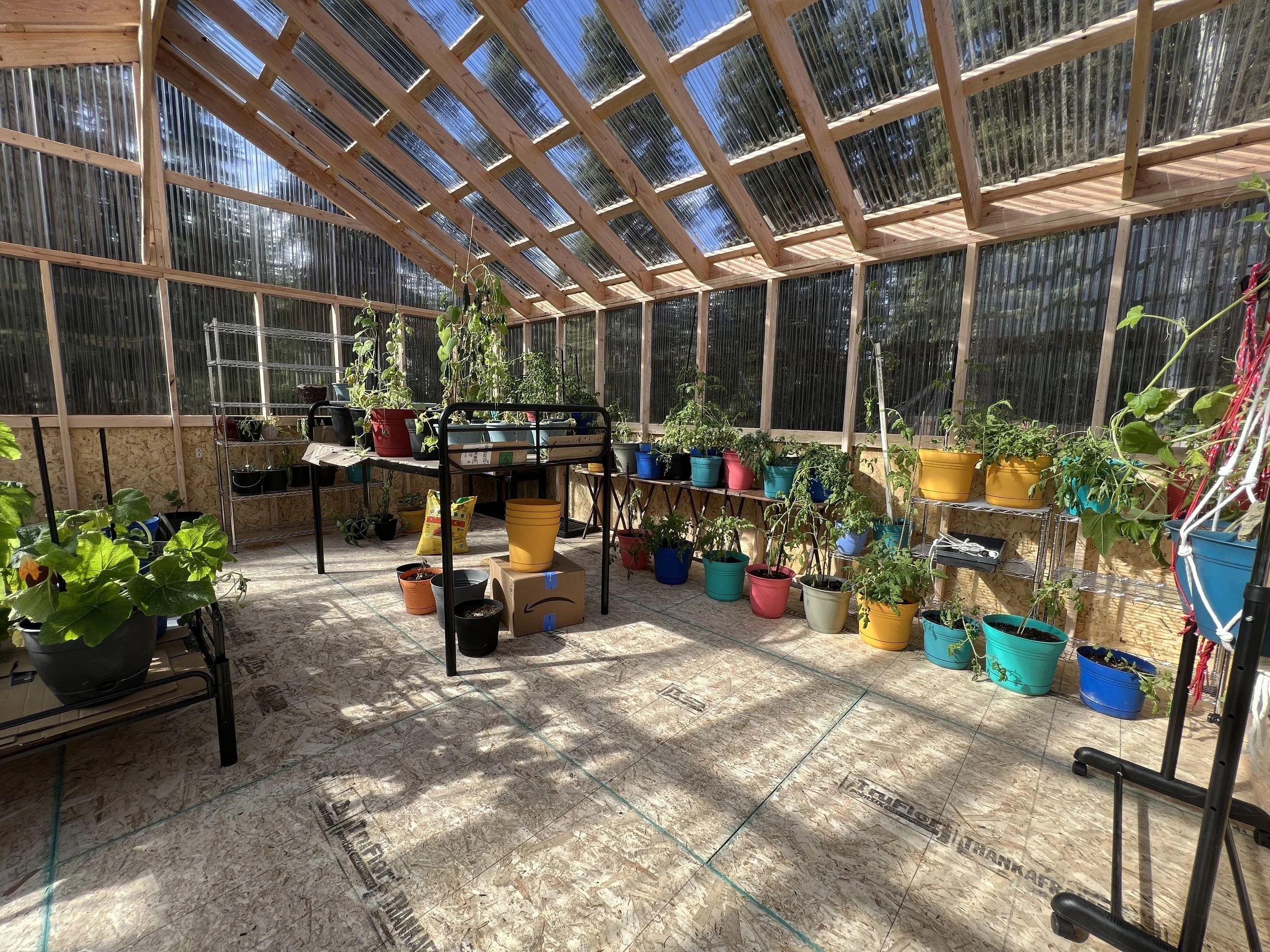Interior of 20x20 greenhouse