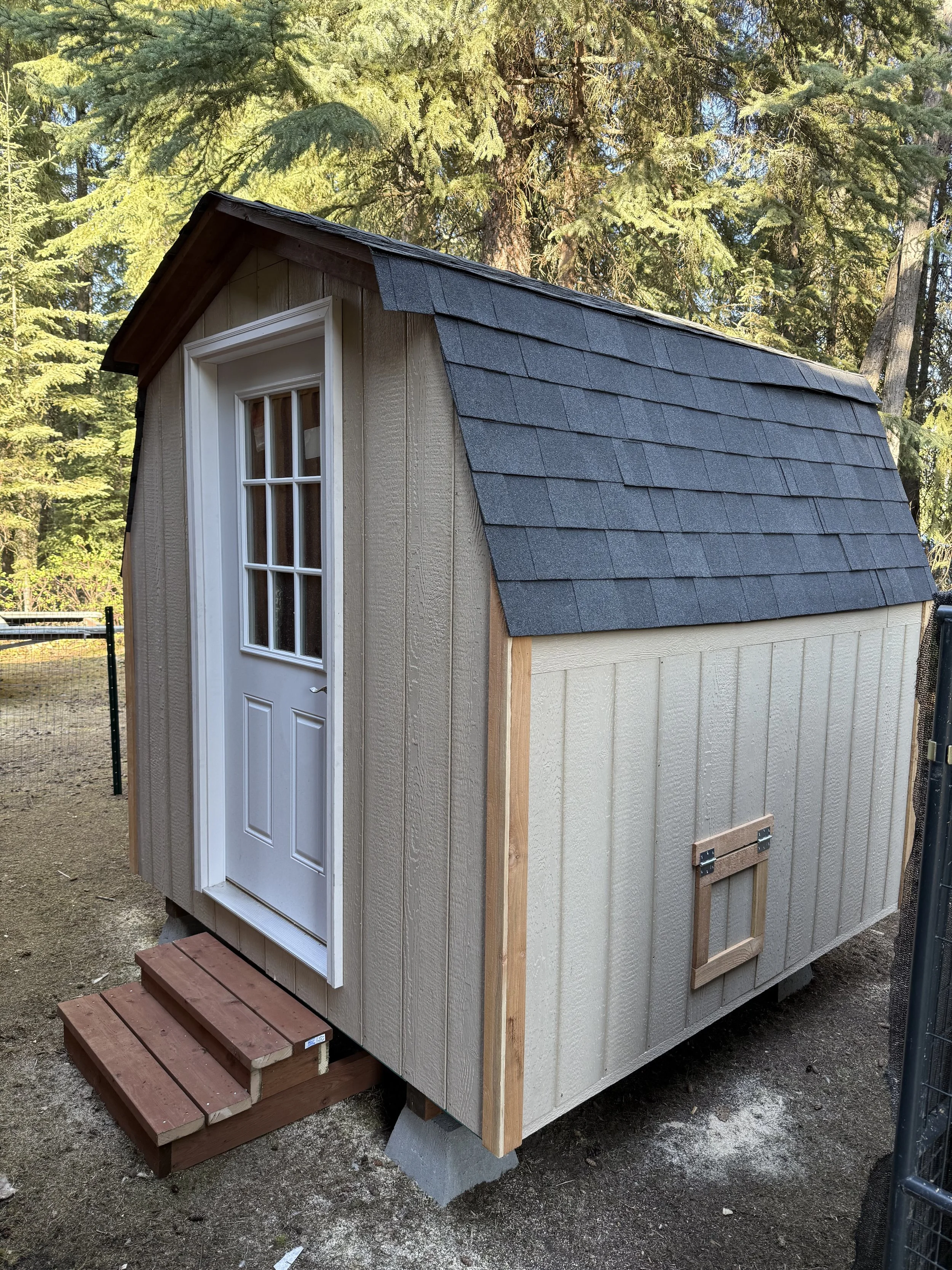 8x12 mini coop