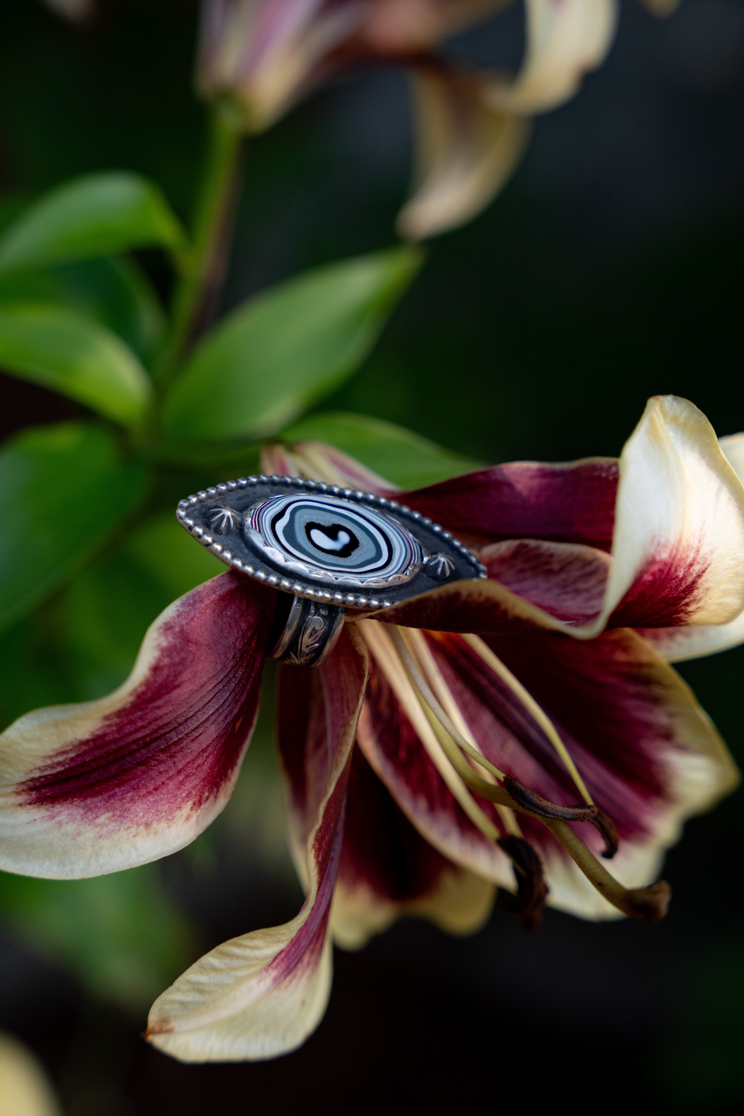 2026-0723- destiny fordite ringdsc09816 - edit.jpg