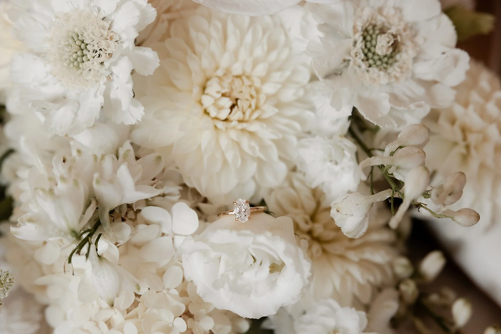 claire-james-cobbs-hill-estate-wedding44.jpg