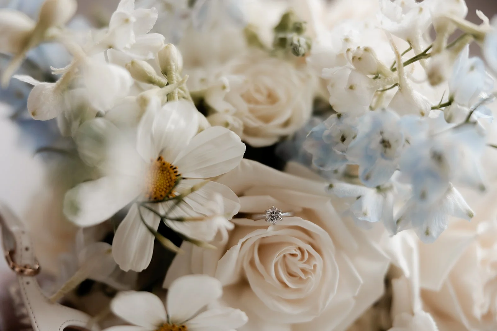 emily-carl-coriole-wedding7.jpg