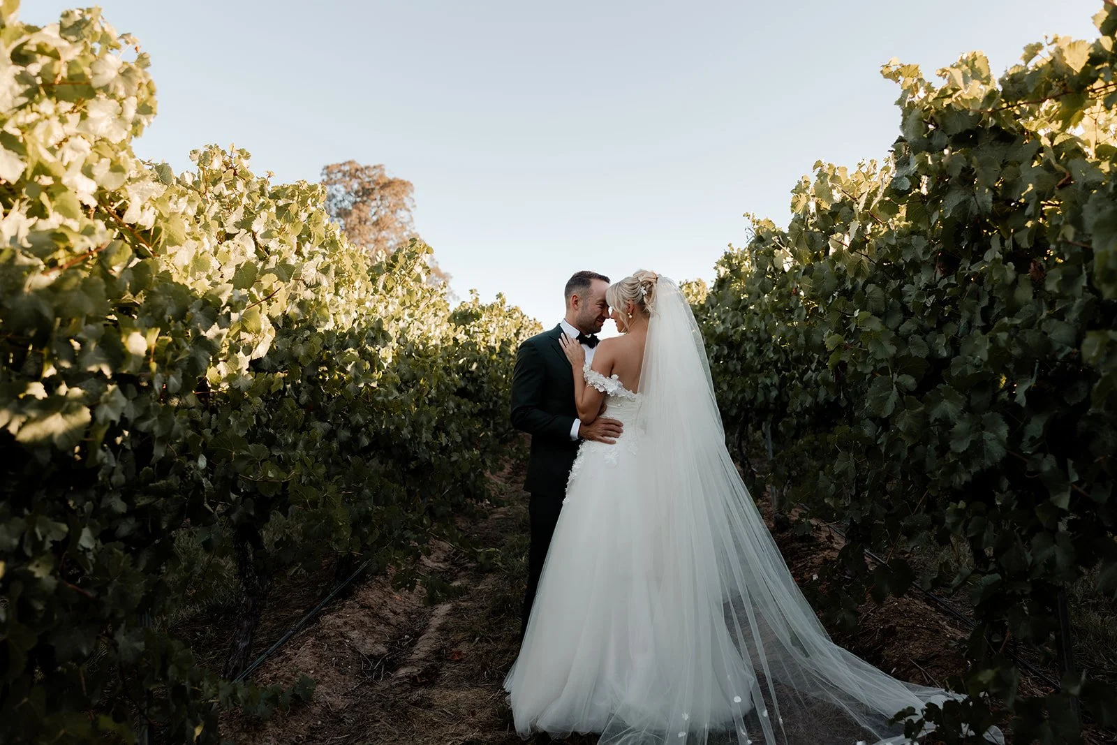 bek-ryan-golding-wines-wedding28.jpg