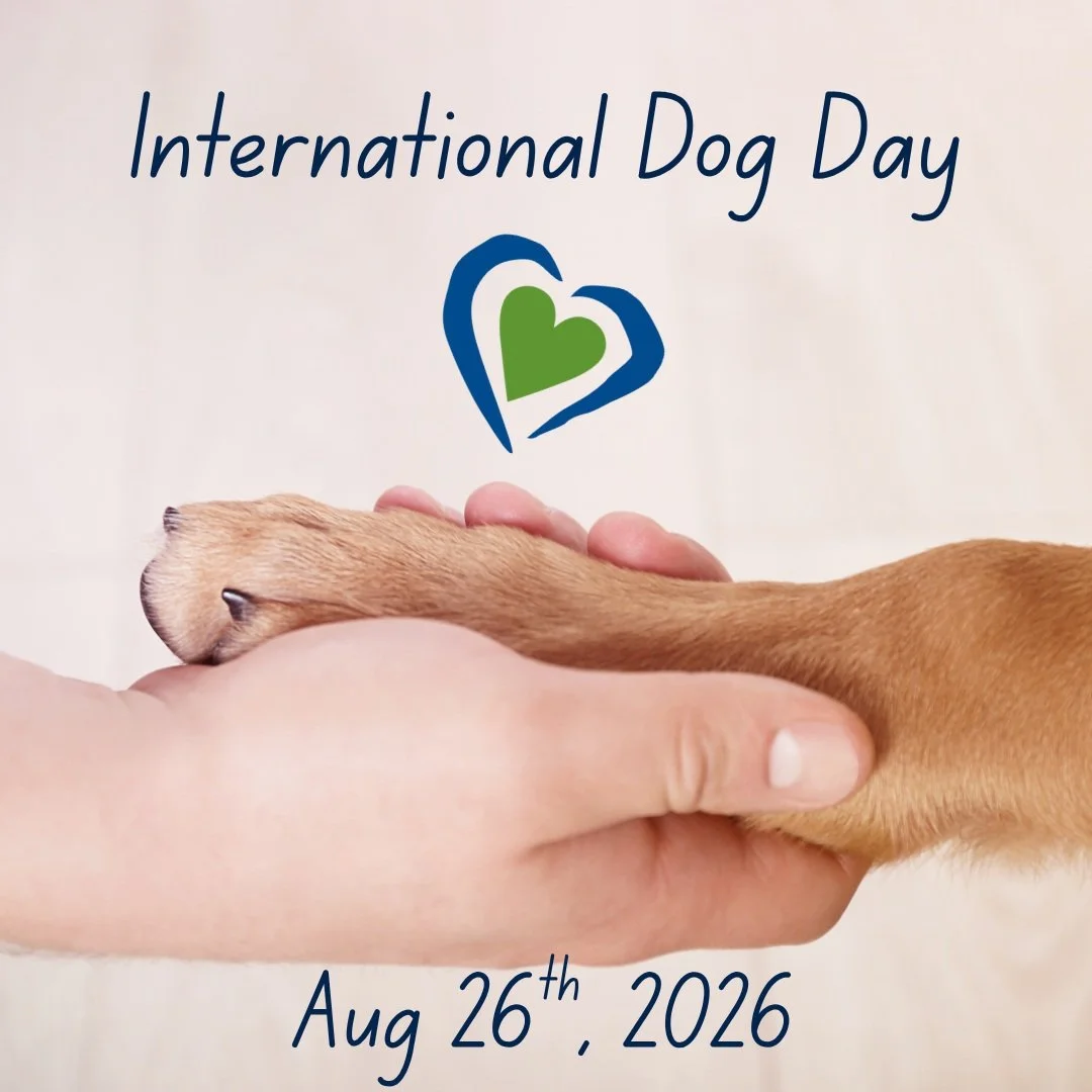 On this International Dog Day, let&rsquo;s celebrate the special bond and love we share with dogs.💚🐶🐾🐕🐩💙 @bcspca 

#NanaimoHospice #NanaimoCommunity #DogLove #BCSPCA #HospiceCare #GriefSupport #InternationalDogDay