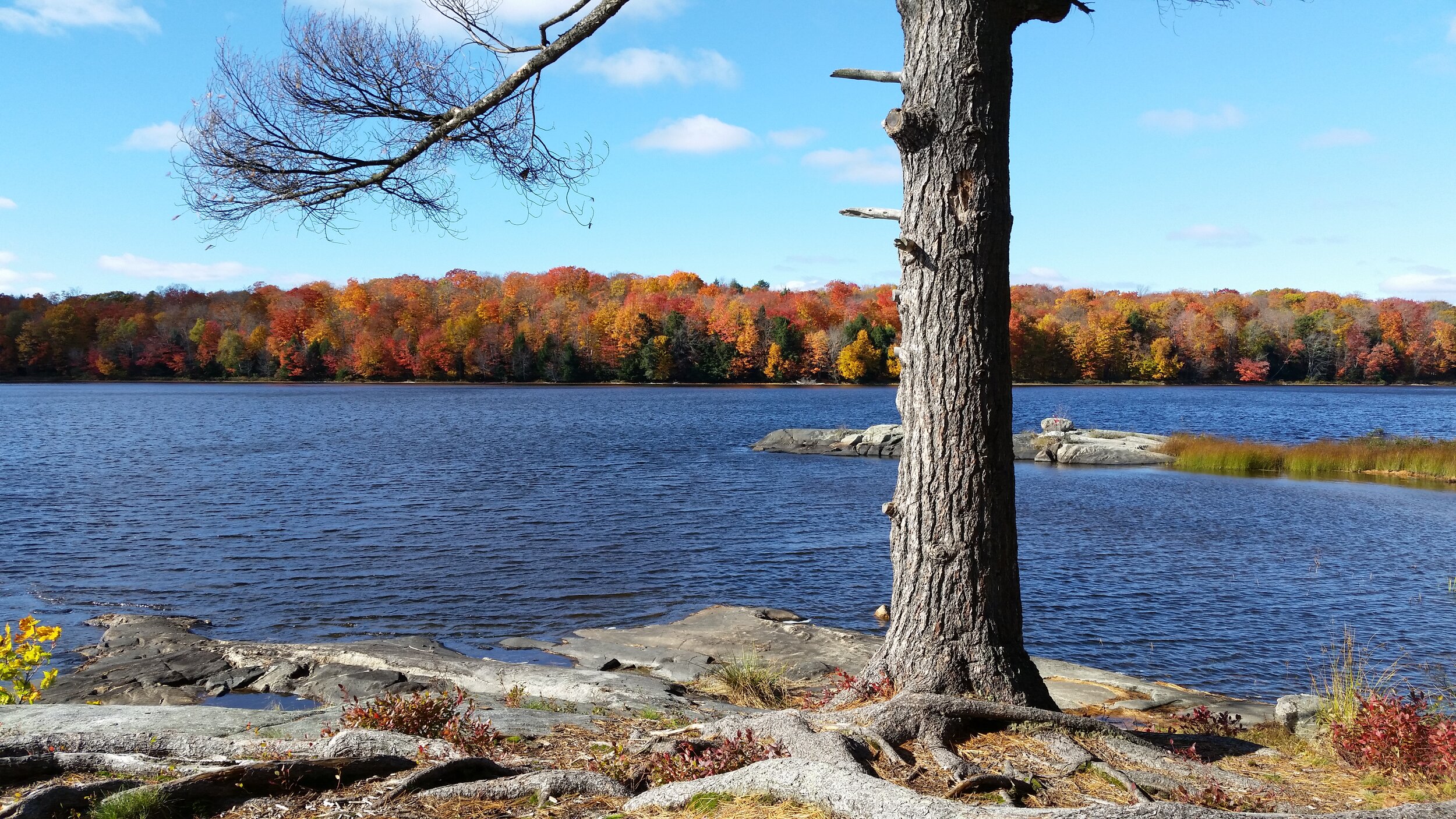 Autumn Campsite (digital download)