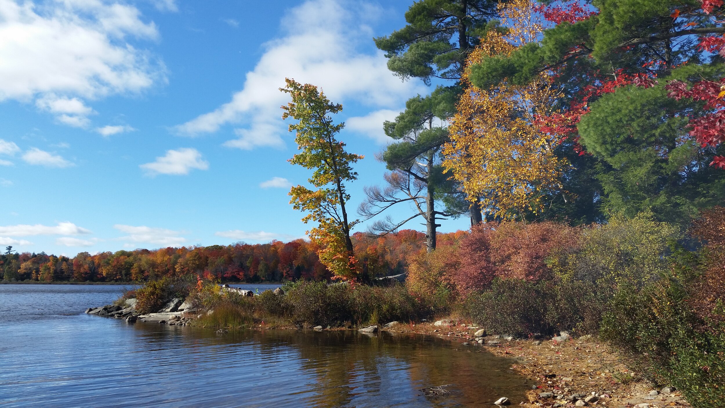 Autumn Point (Digital Download)