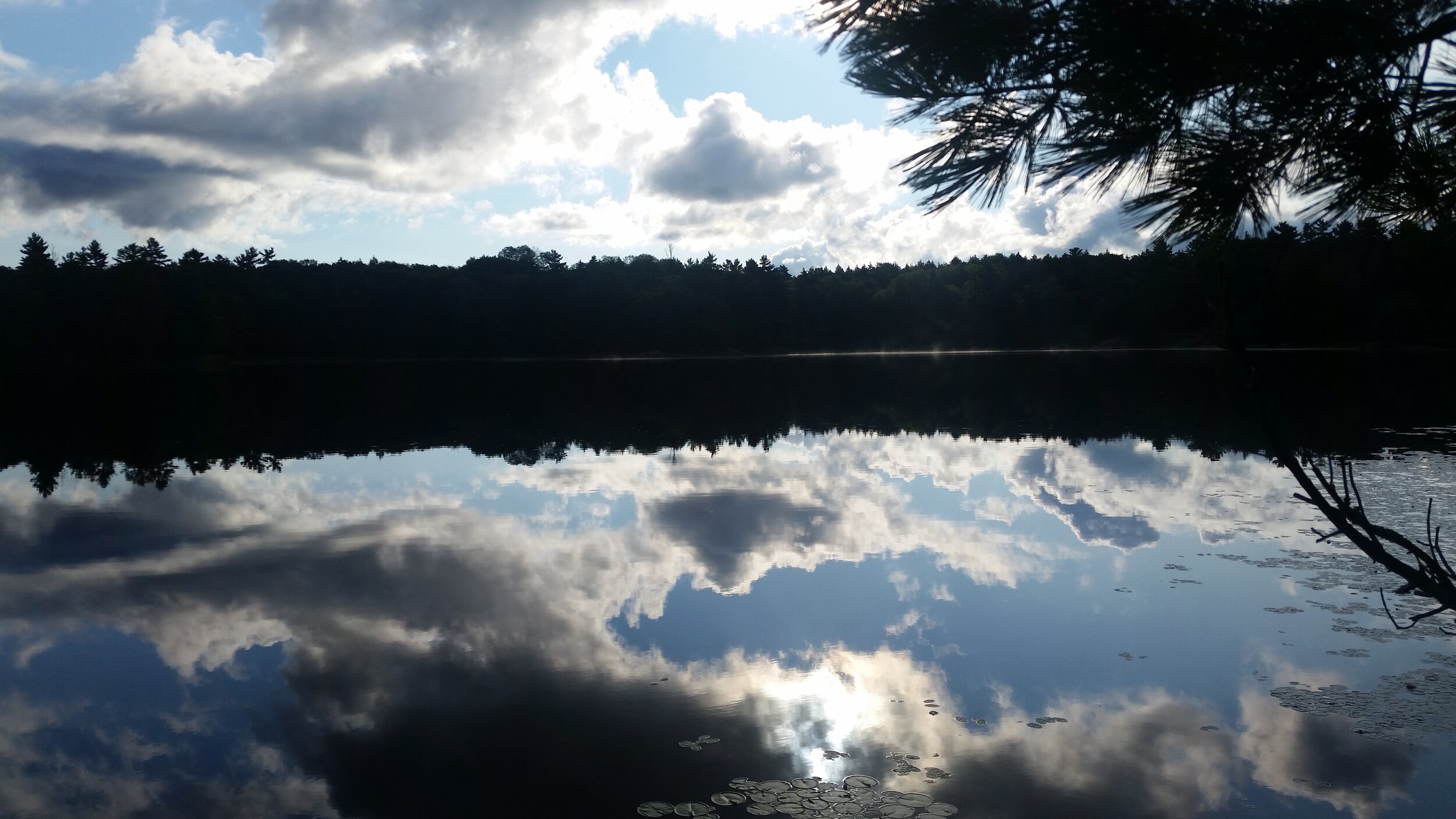 Shadowy Lake (Digital Download)