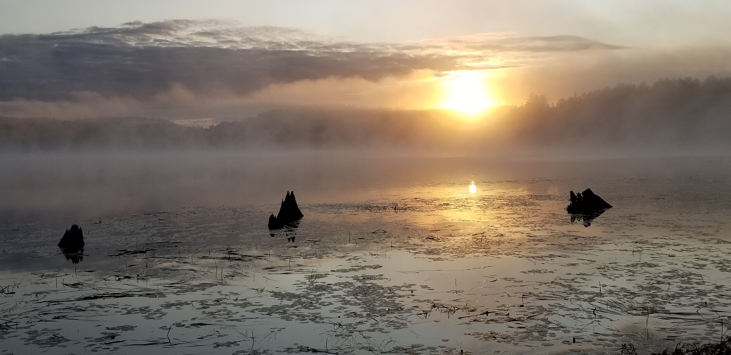 Foggy Tom (Digital Download)