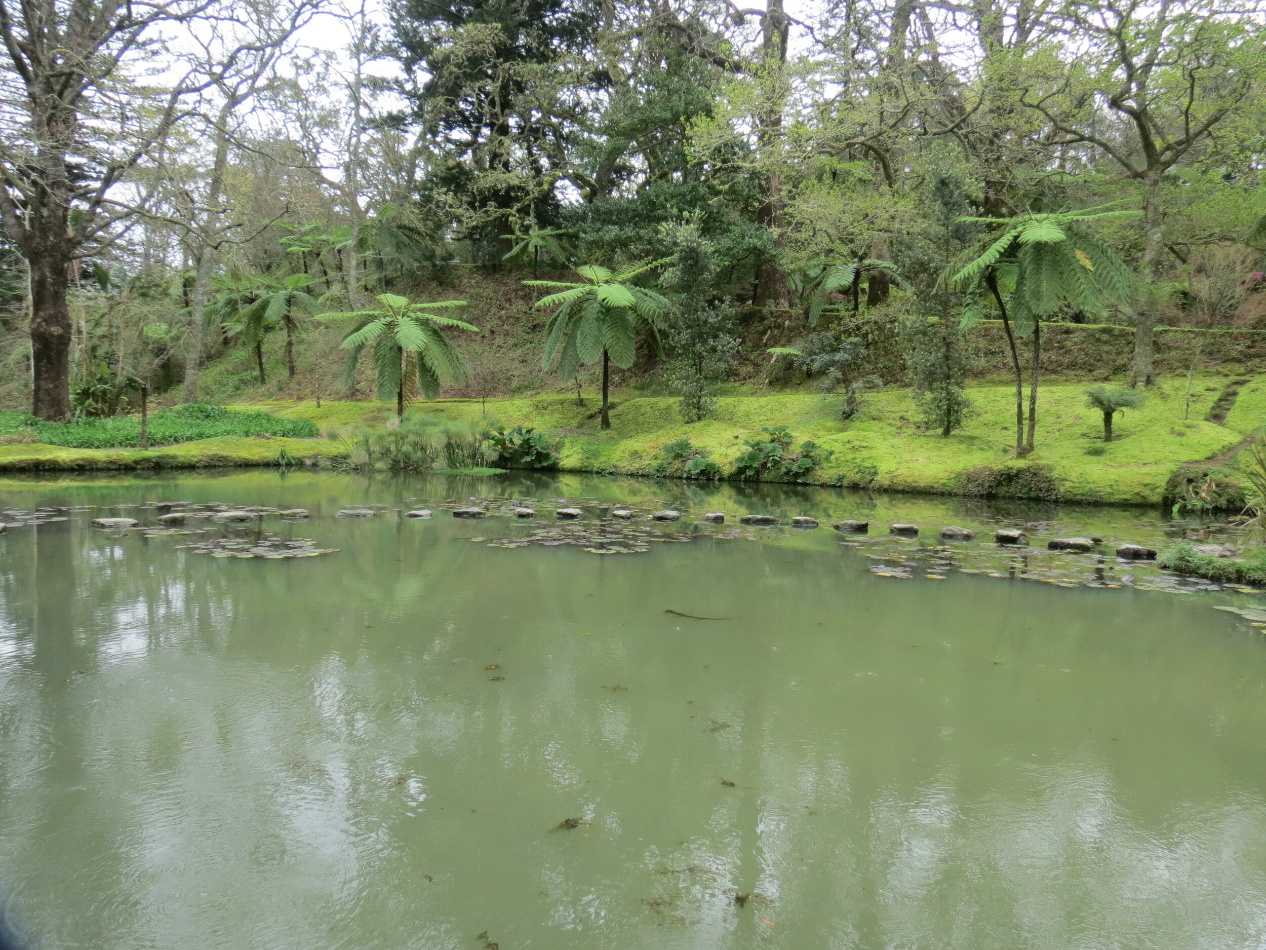 Terra Nostra Pond (Digital Download)