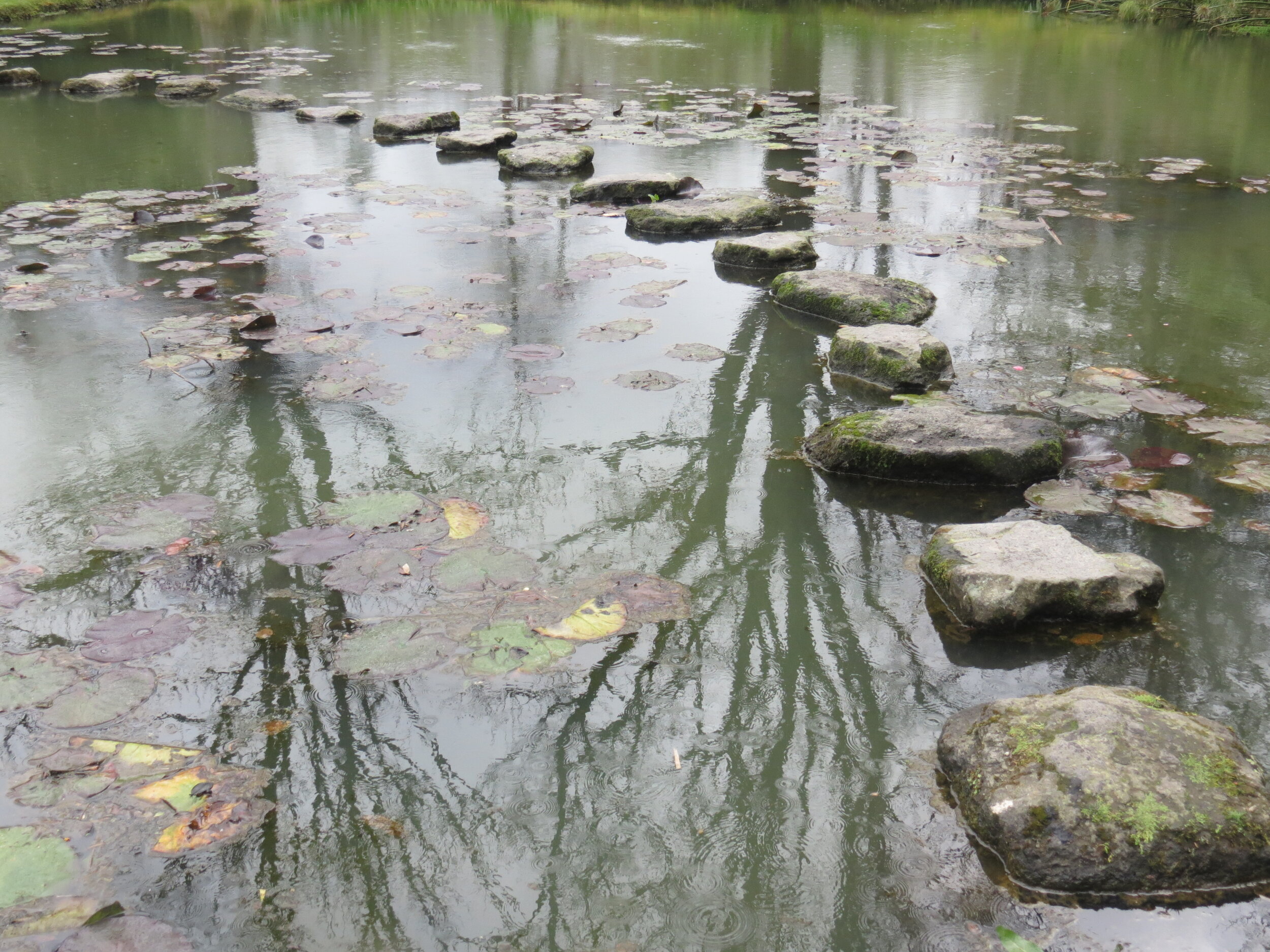 Terra Nostra Stones (Digital Download)