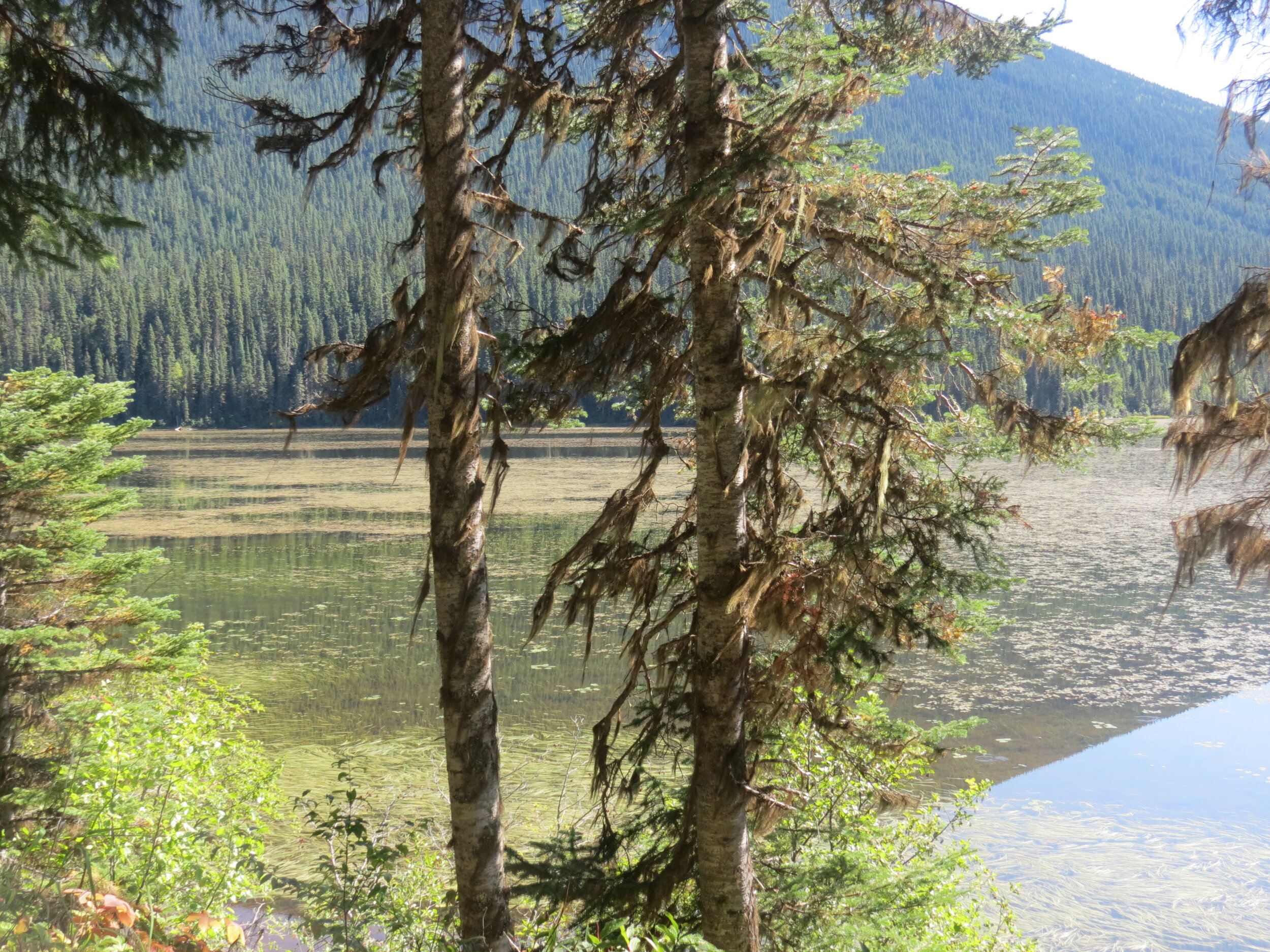 Indianpoint Lake (Digital Dowload)