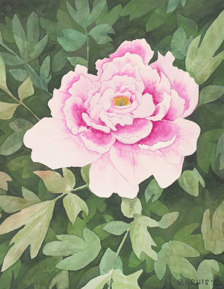 Peony