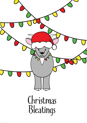 Animal Cards6 copy.png