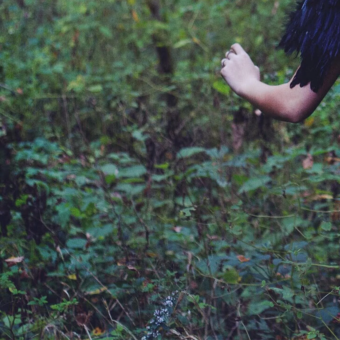 &ldquo;In Irish mythology, the crow is seen as a manifestation of the Morrigan (in Irish, M&oacute;r-r&iacute;oghain), meaning phantom/great Queen. She was a deity signifying &lsquo;battle, strife and sovereignty,&rsquo;a harbinger of war and death, 