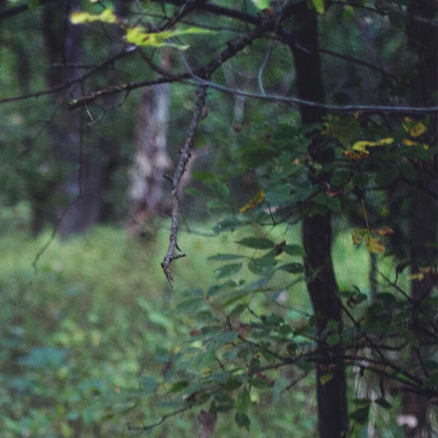 &ldquo;To hatch a crow, a black rainbow, 
Bent in emptiness, 
over emptiness, 
But flying&rdquo;
⠀
- Ted Hughes, &lsquo;Crow: From the Life and Songs of the Crow&rsquo; ⠀⠀⠀⠀⠀⠀⠀⠀⠀⠀⠀⠀ ⠀⠀⠀⠀⠀⠀⠀⠀⠀⠀⠀⠀ ⠀⠀⠀⠀⠀⠀⠀⠀⠀⠀⠀⠀ ⠀⠀⠀ ⠀⠀⠀⠀⠀⠀⠀⠀⠀⠀⠀⠀ ⠀⠀⠀⠀⠀⠀⠀⠀ ⠀⠀⠀⠀⠀⠀⠀⠀⠀⠀⠀⠀ ⠀ ⠀