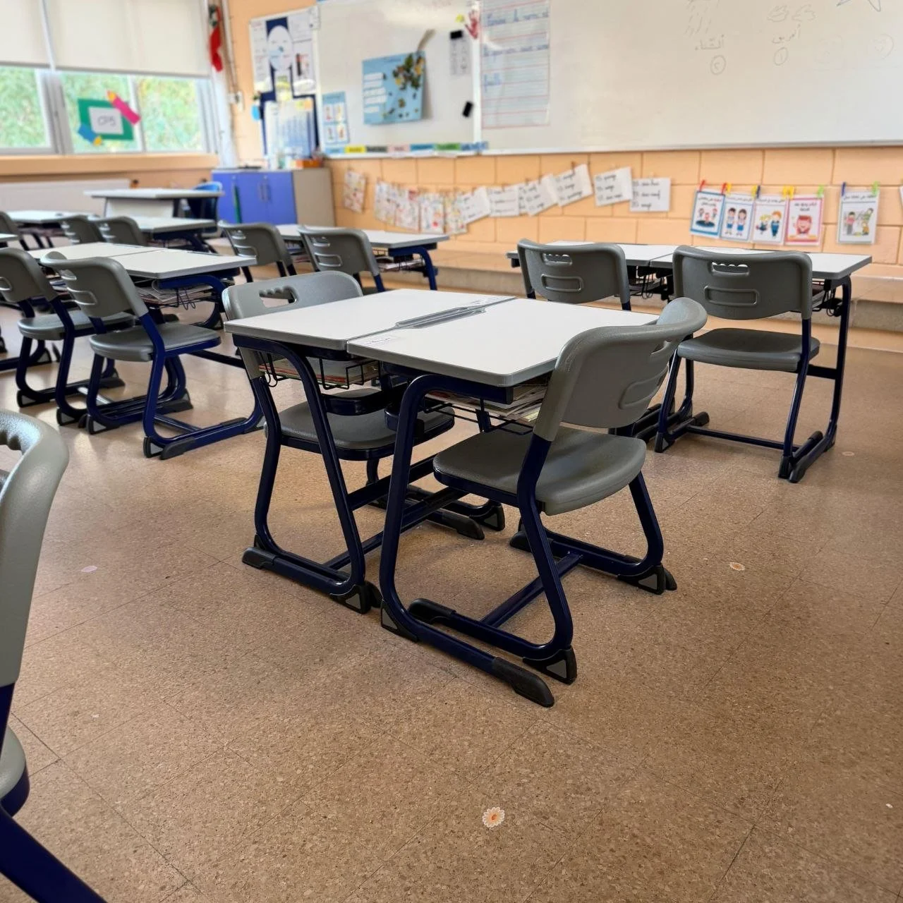School Desks and Chairs