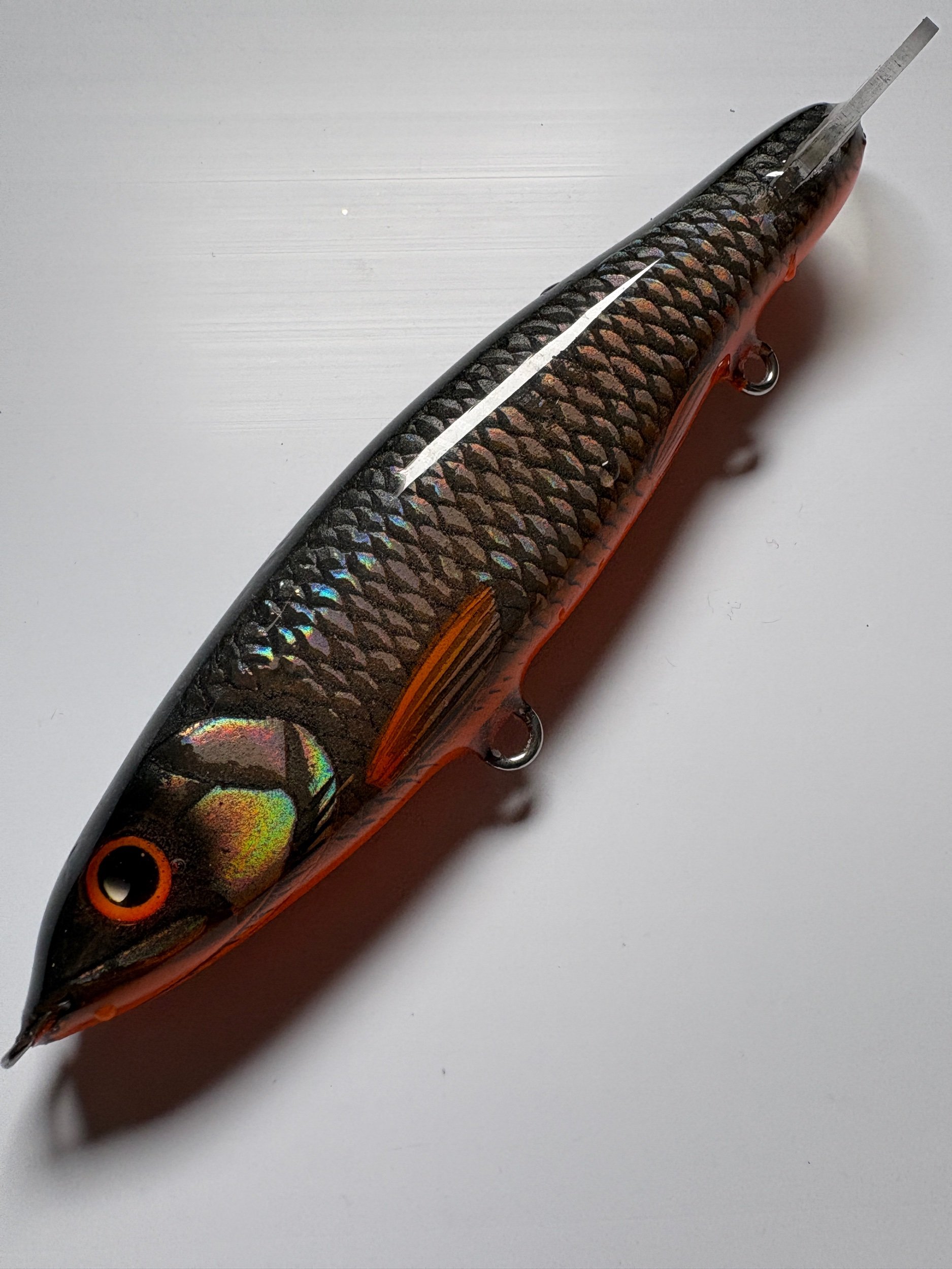 Gliding Trout (Slow Sink)