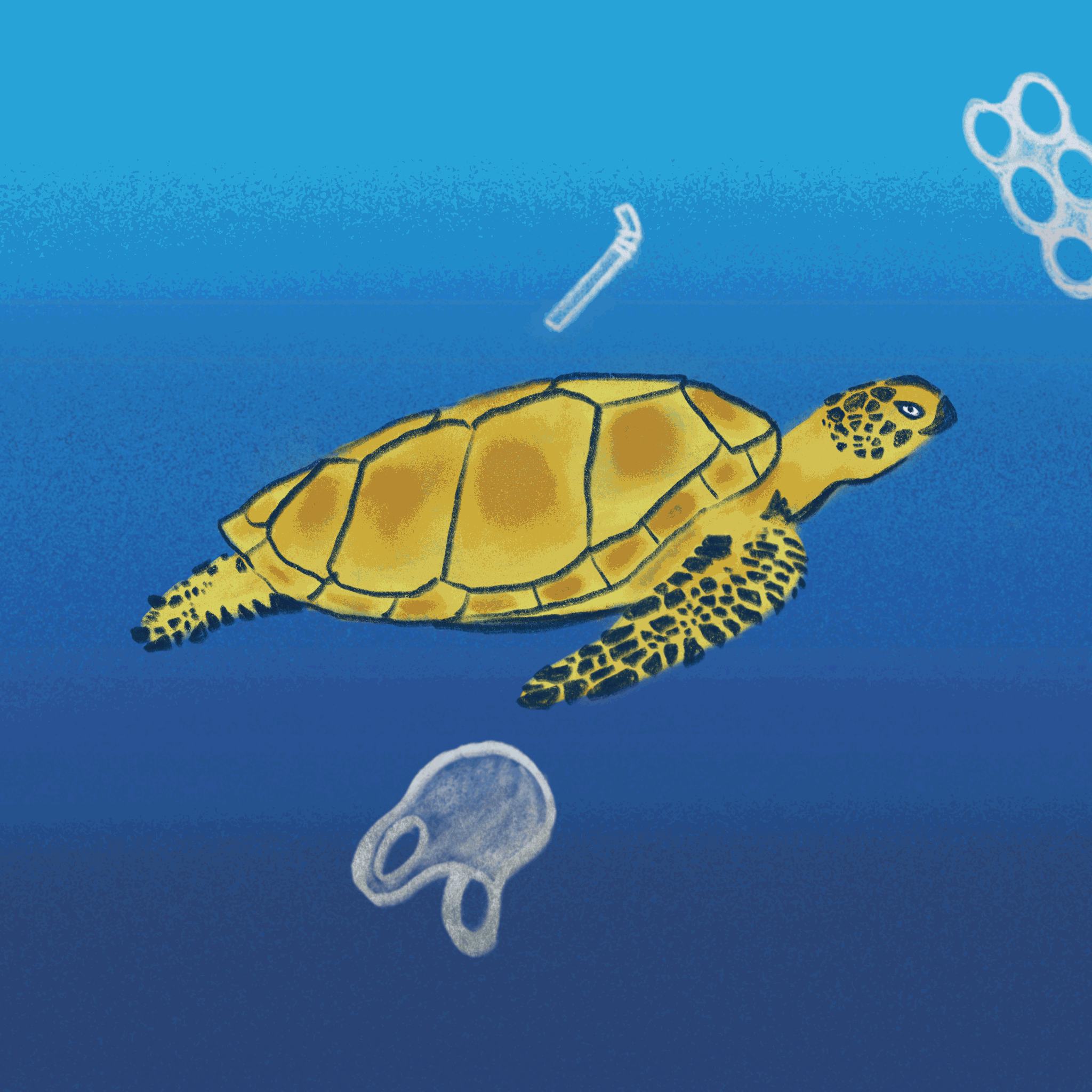 SAVE OUR OCEANS, SAVE OURSELVES.gif