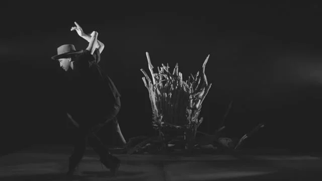 Pacific Heights - REALMS