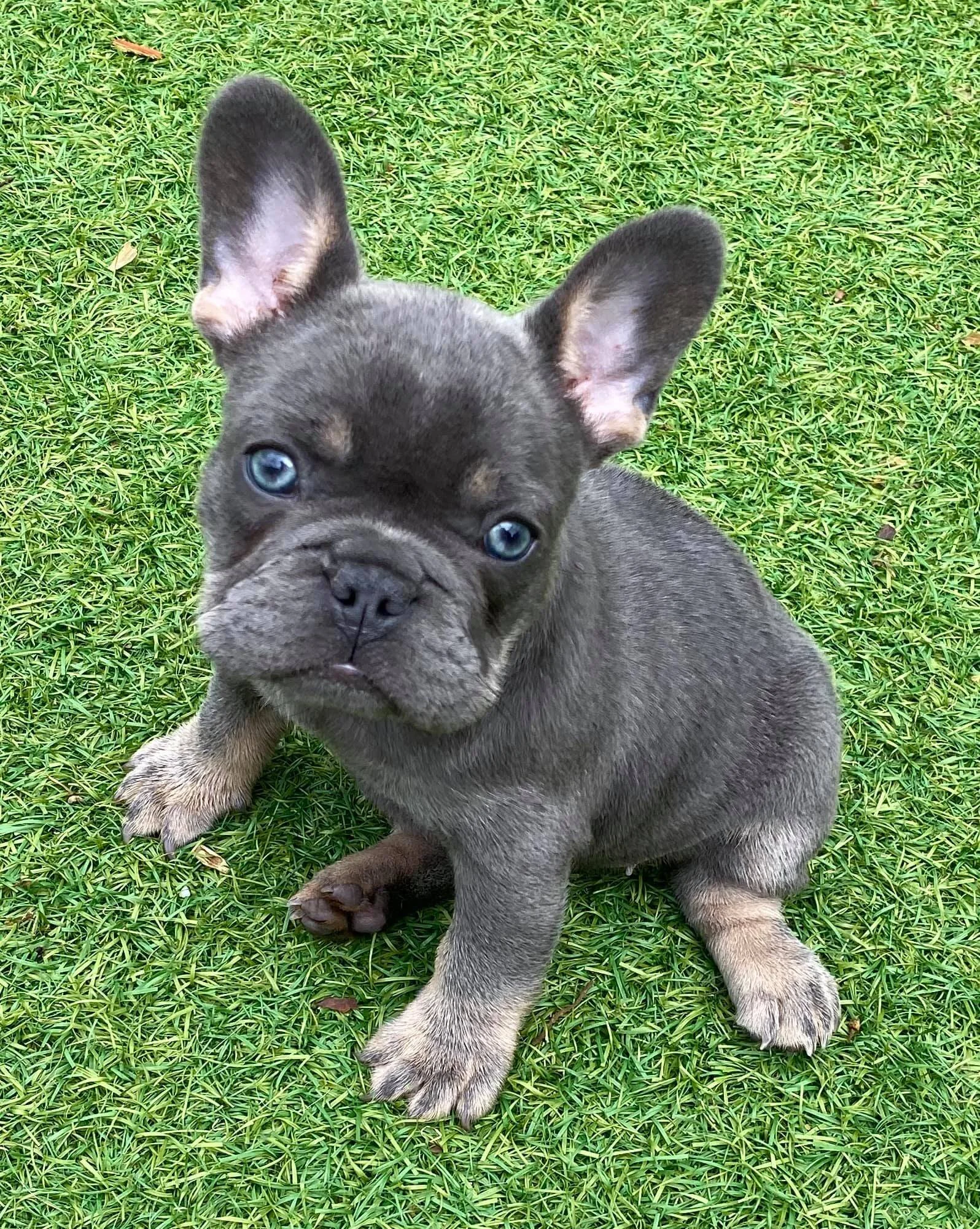 103367706_1155039871541079_5462726498799473588_o.jpg
