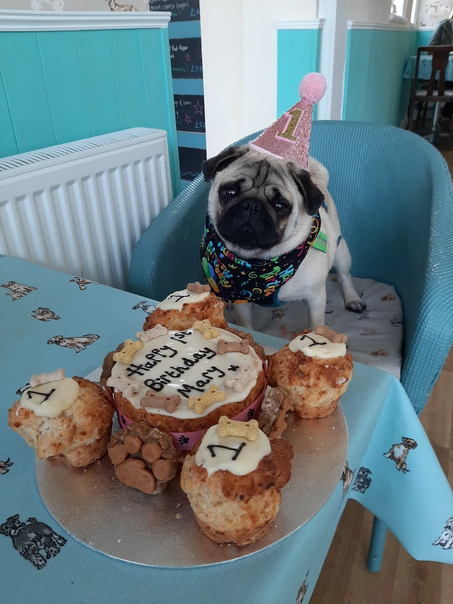 121796994_1243458042698143_8972002646131473189_o.jpg