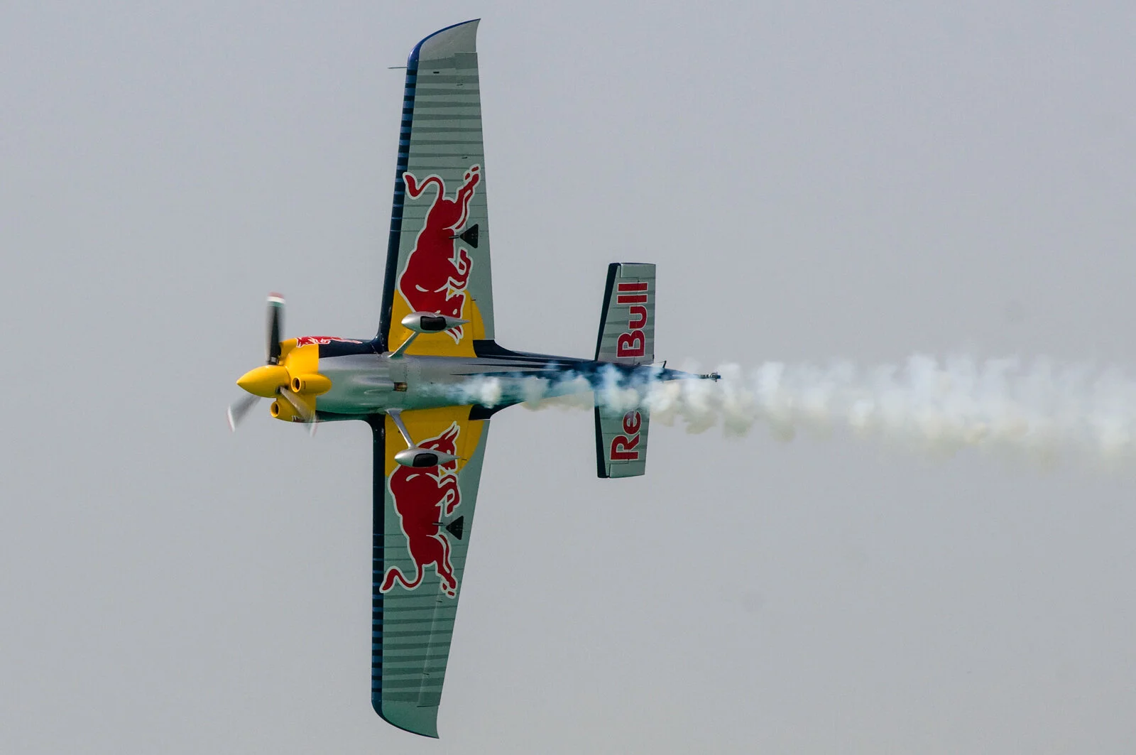 DSC_3412.jpg