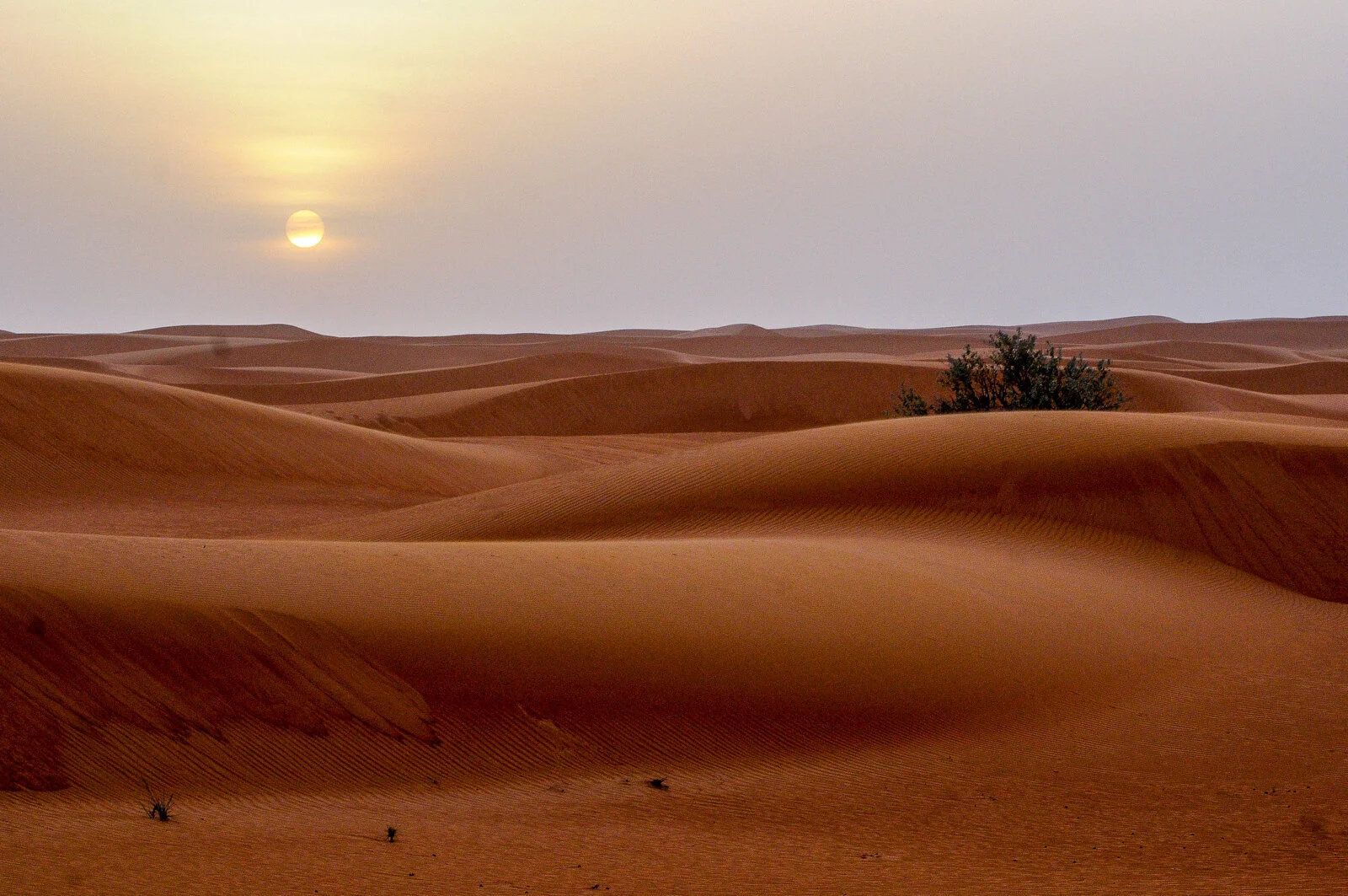 Dubai 110608JM114.jpg