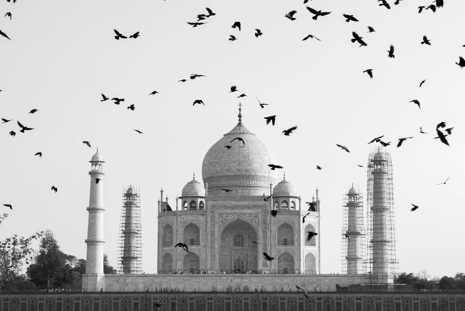 India P1340351.jpg