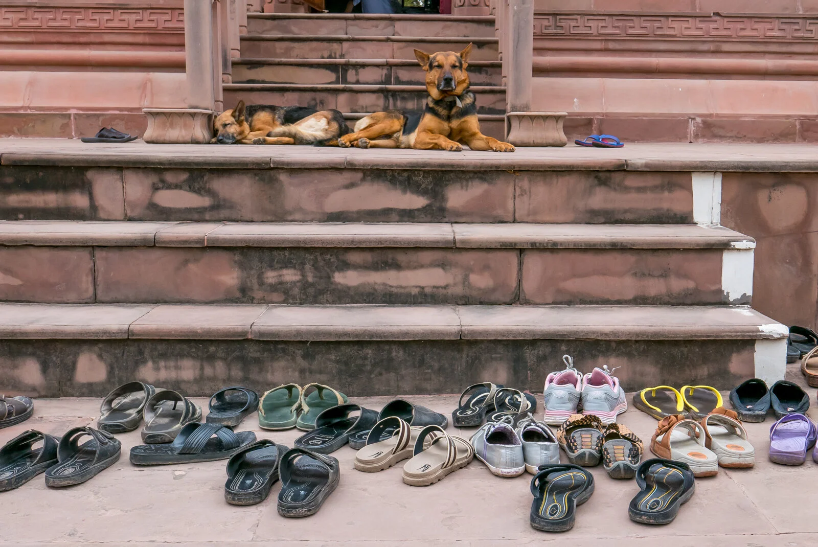India P1370118.jpg