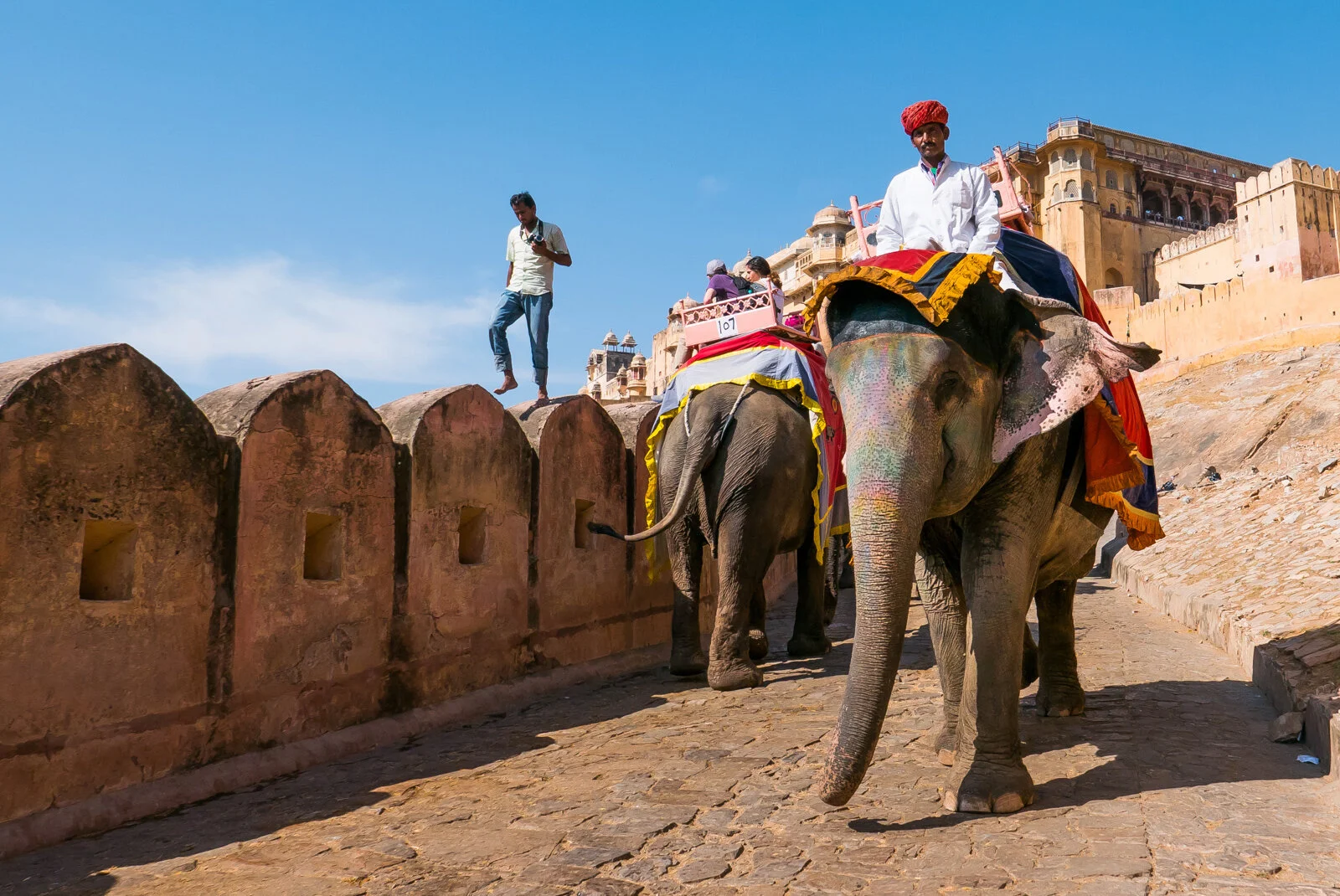 India P1380172.jpg