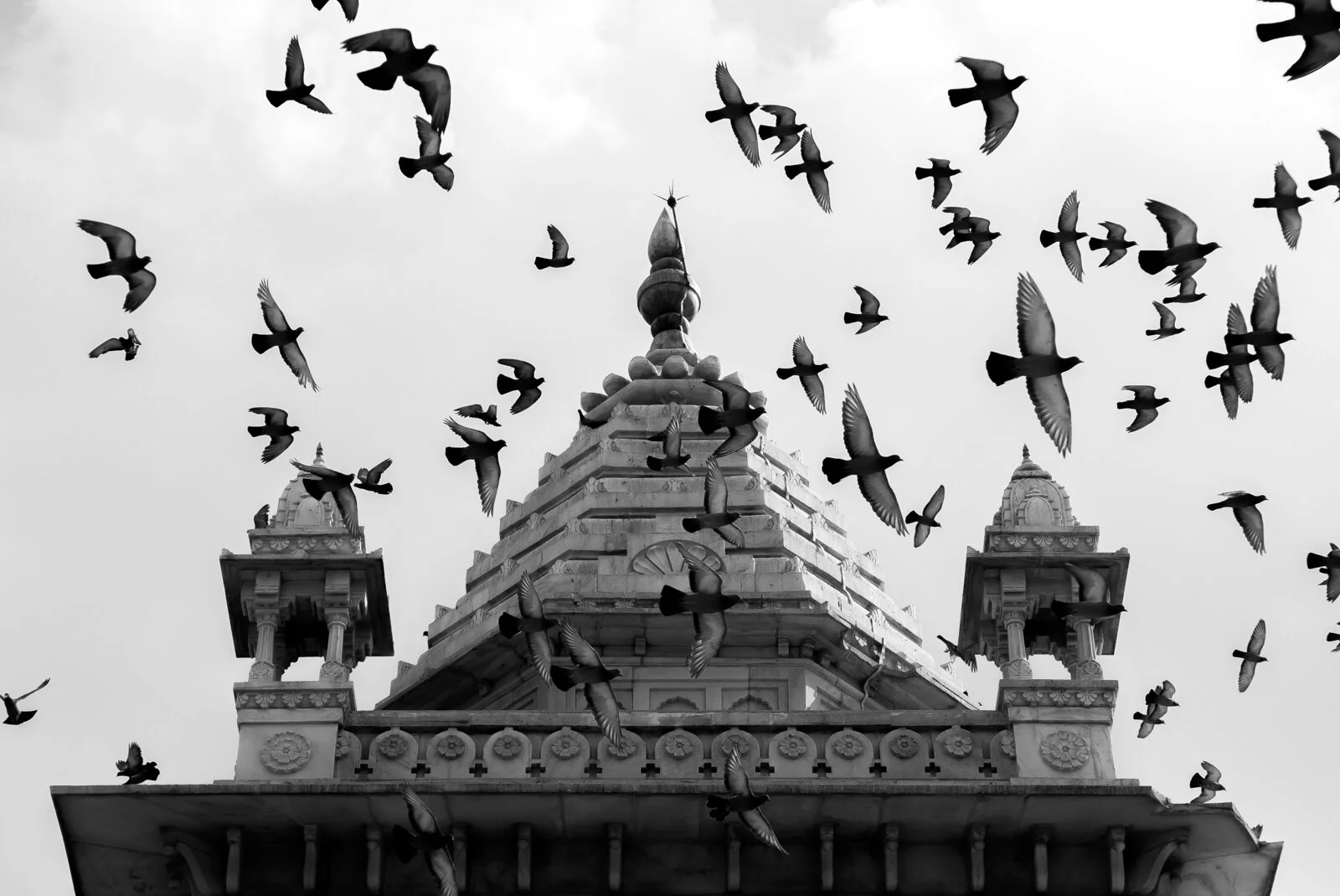 India P1390344.jpg